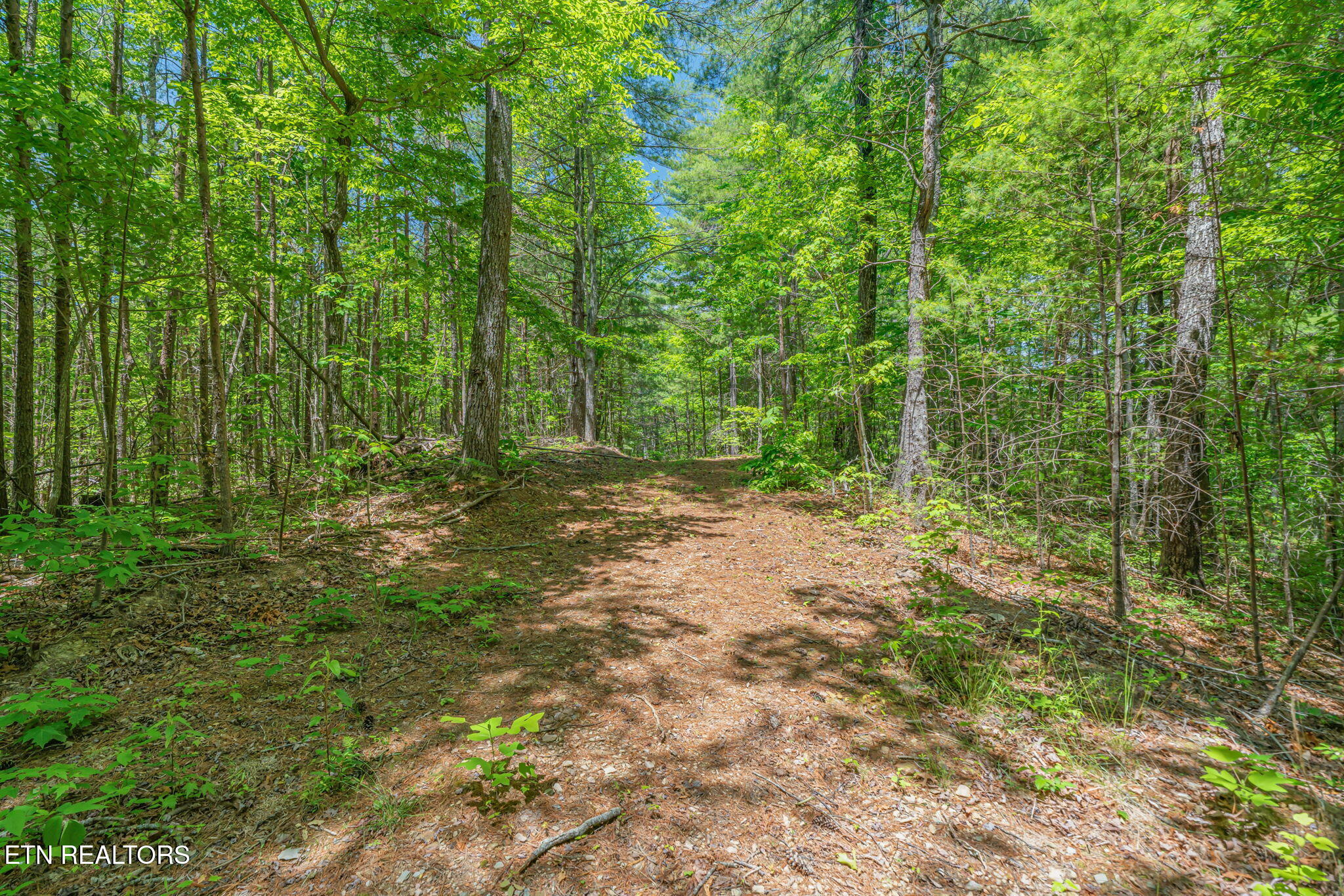2380 Rafter Road Tellico Plains TN 37385