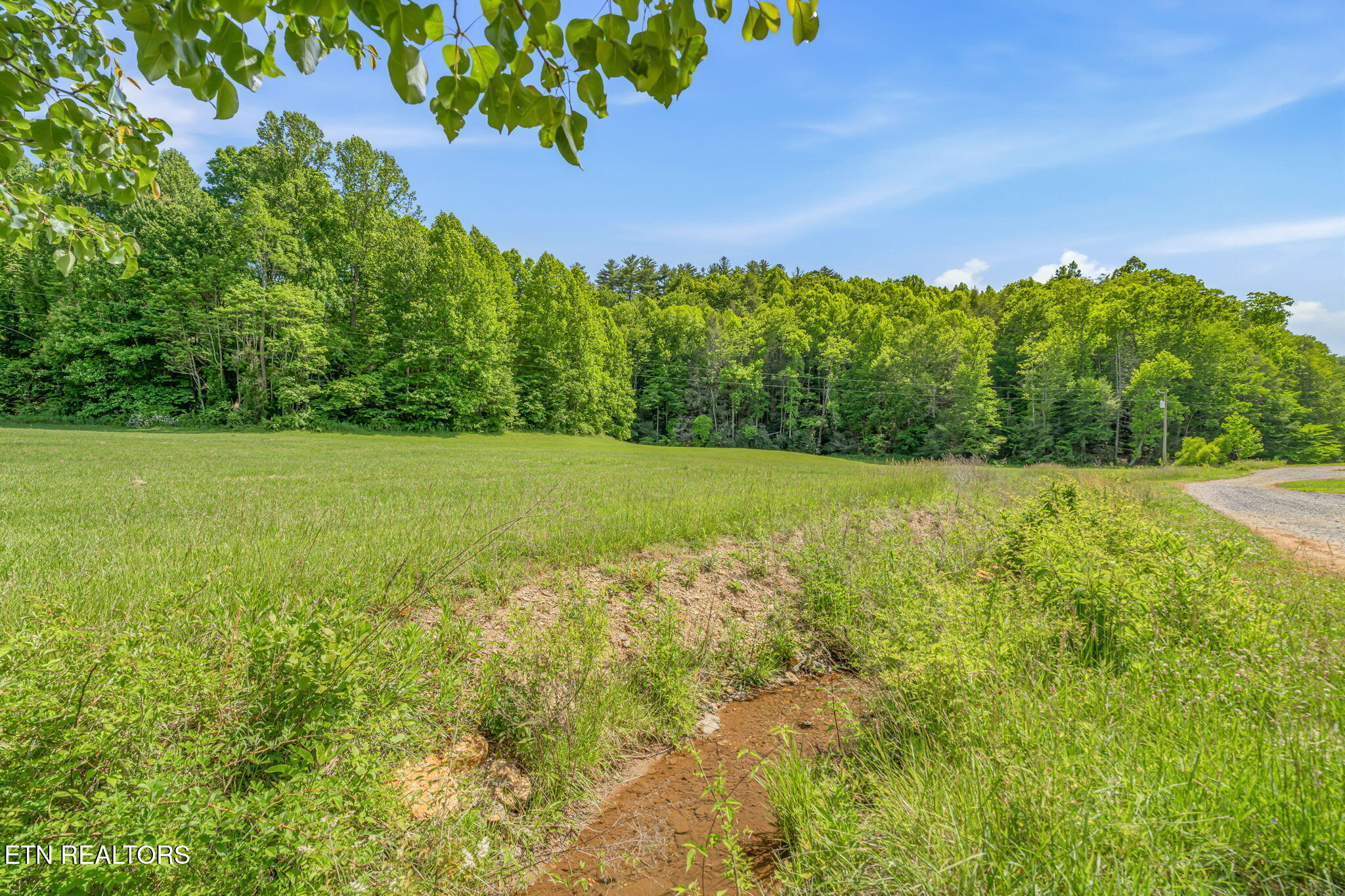 2380 Rafter Road Tellico Plains TN 37385