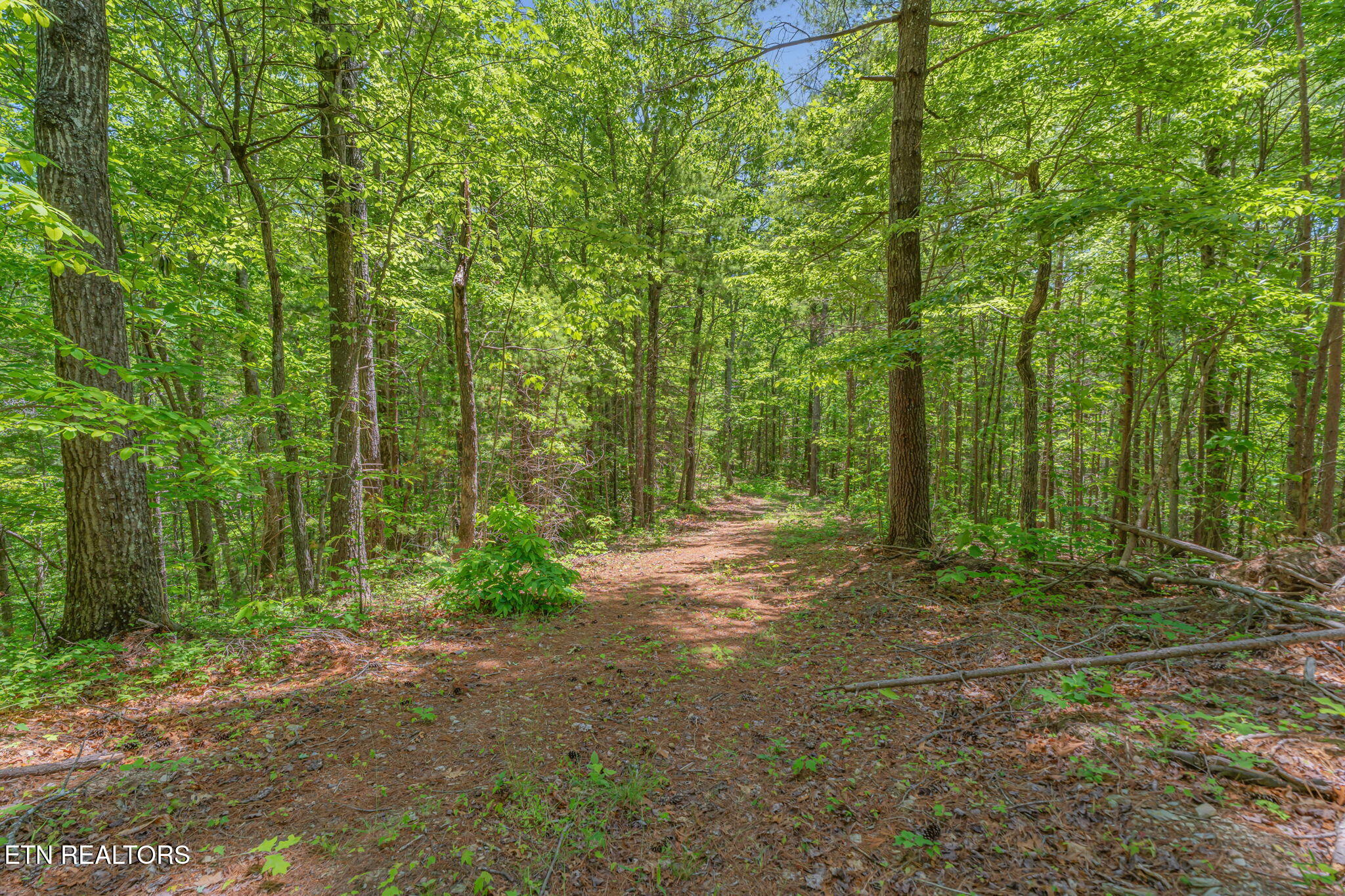 2380 Rafter Road Tellico Plains TN 37385