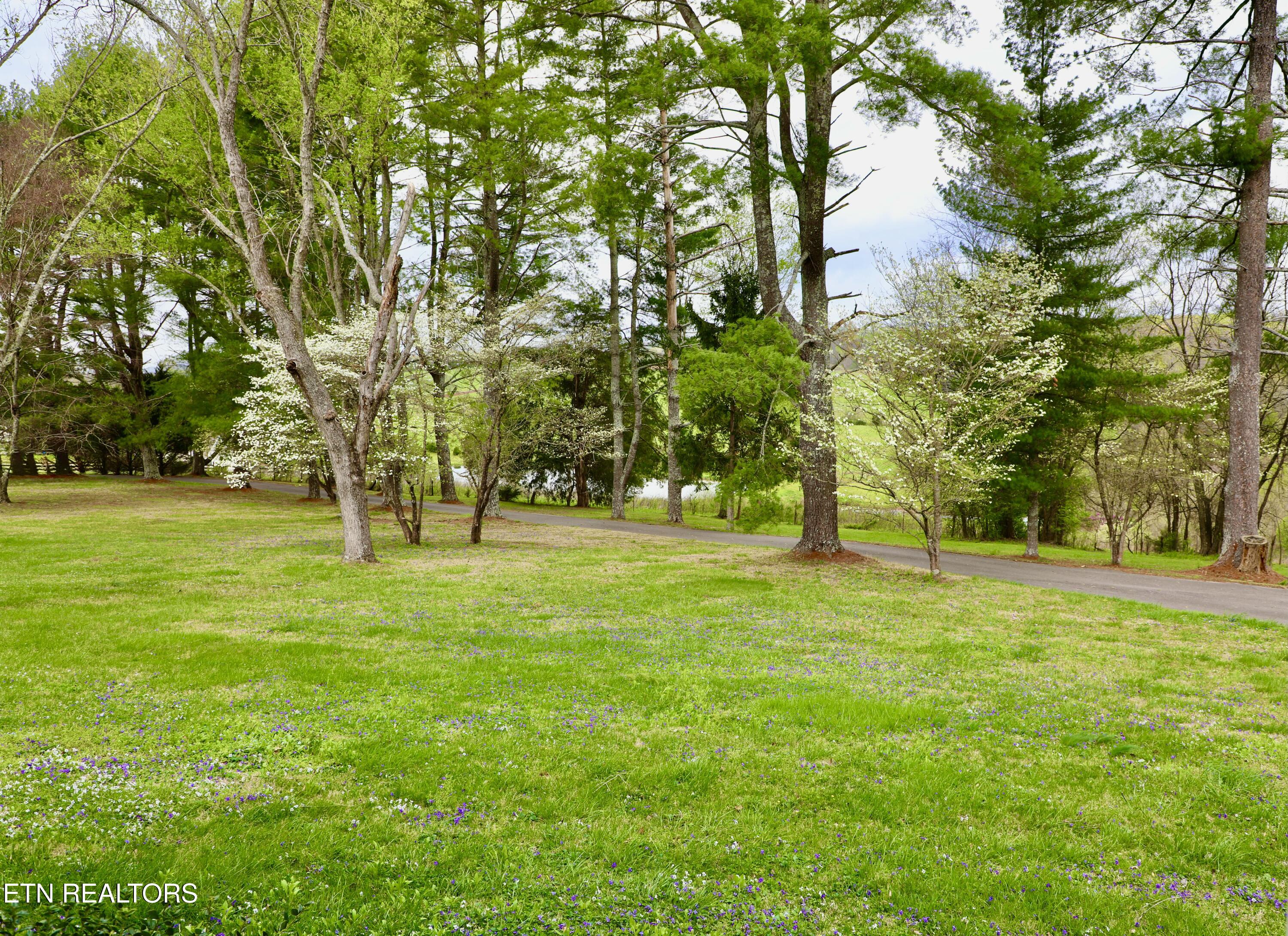 128 Chinquapin Lane Madisonville TN 37354