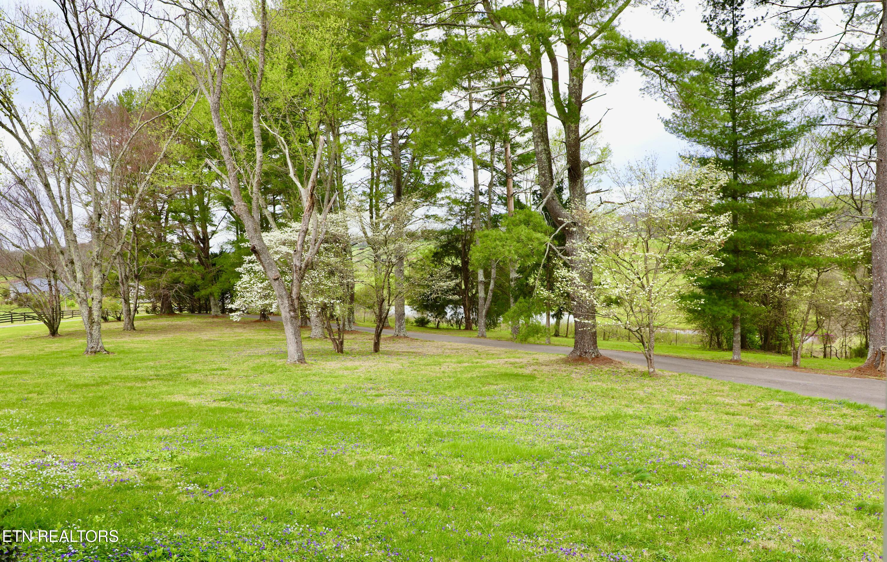 128 Chinquapin Lane Madisonville TN 37354