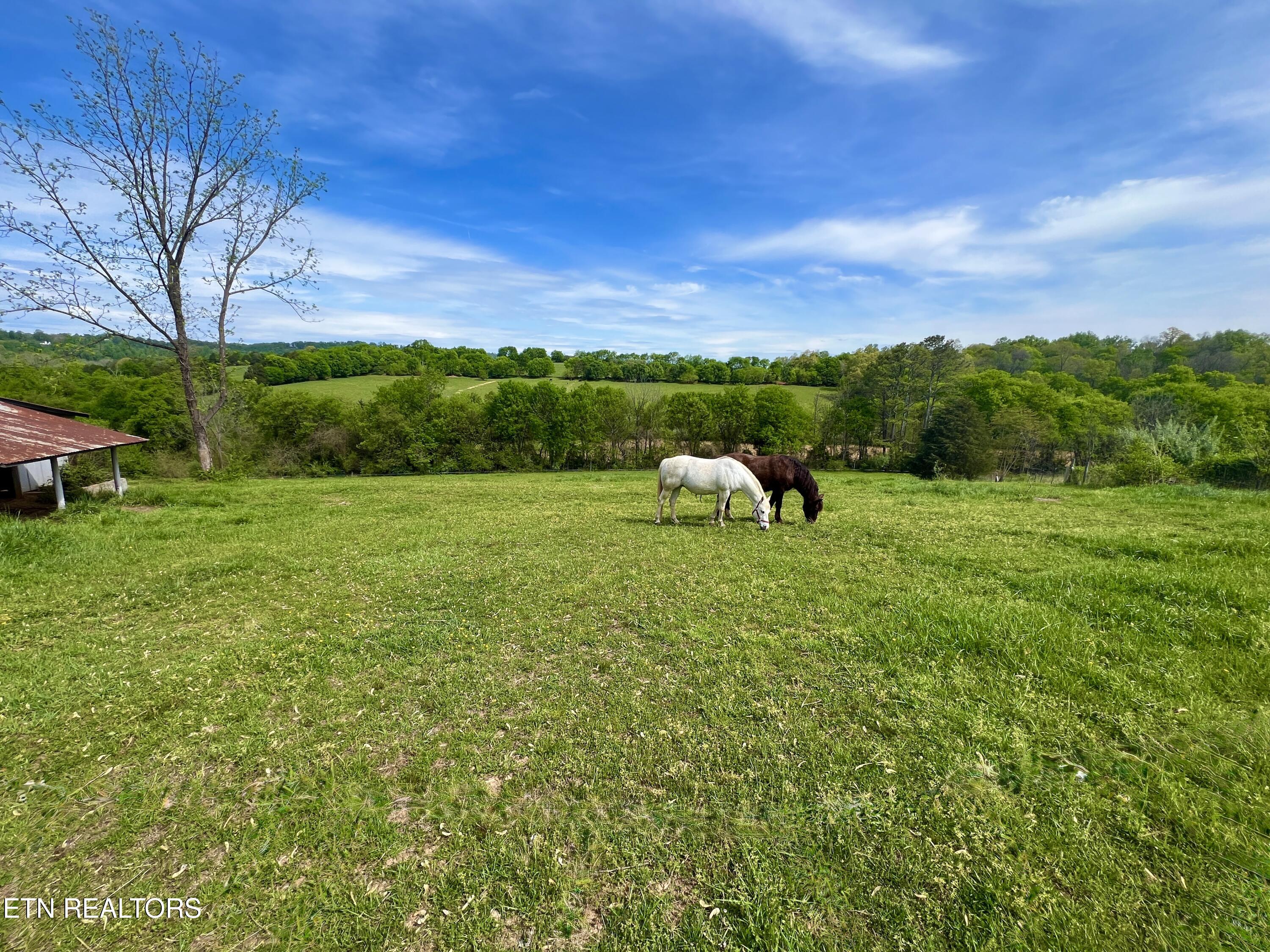 128 Chinquapin Lane Madisonville TN 37354