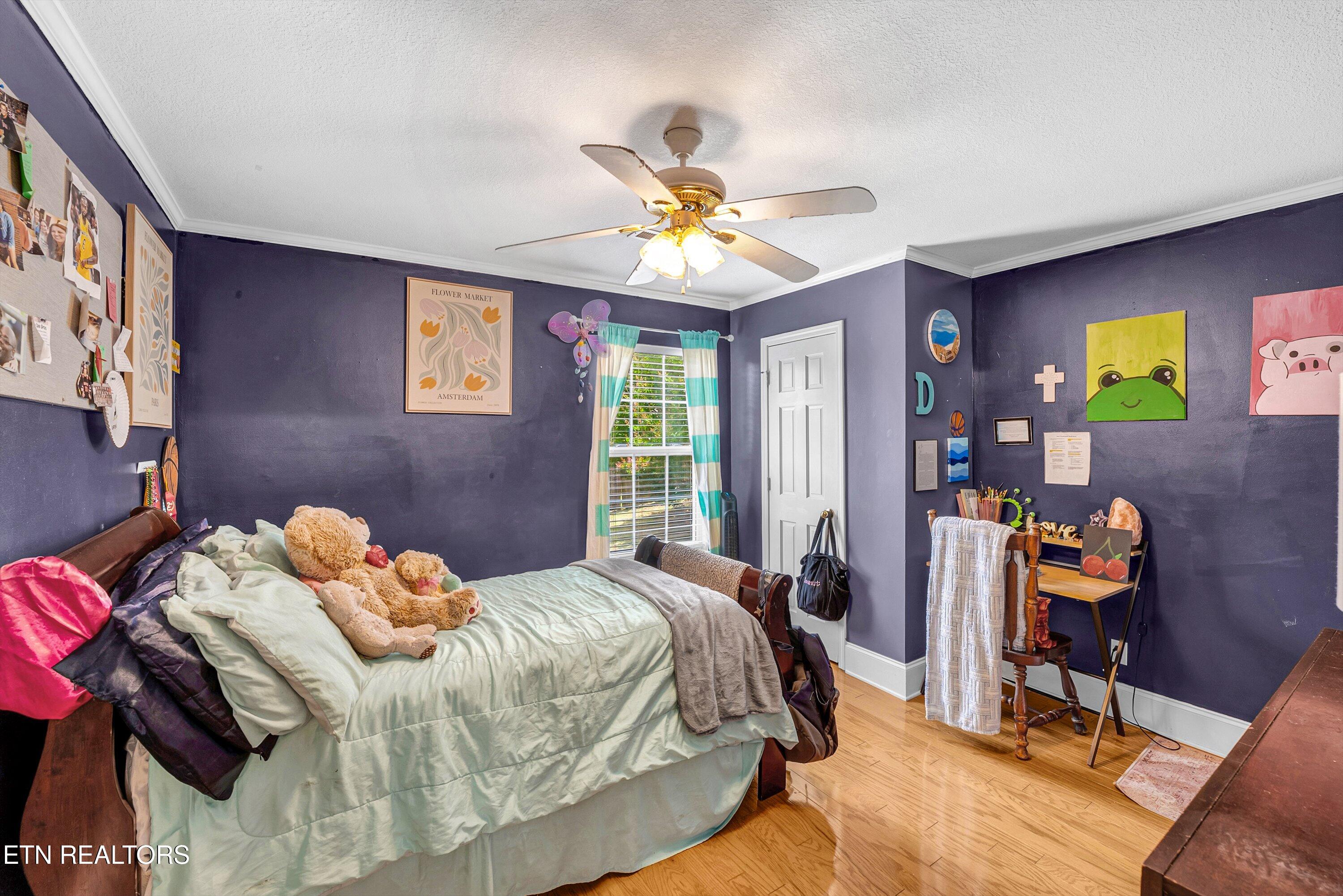 541 Sandy Springs Road Maryville TN 37803