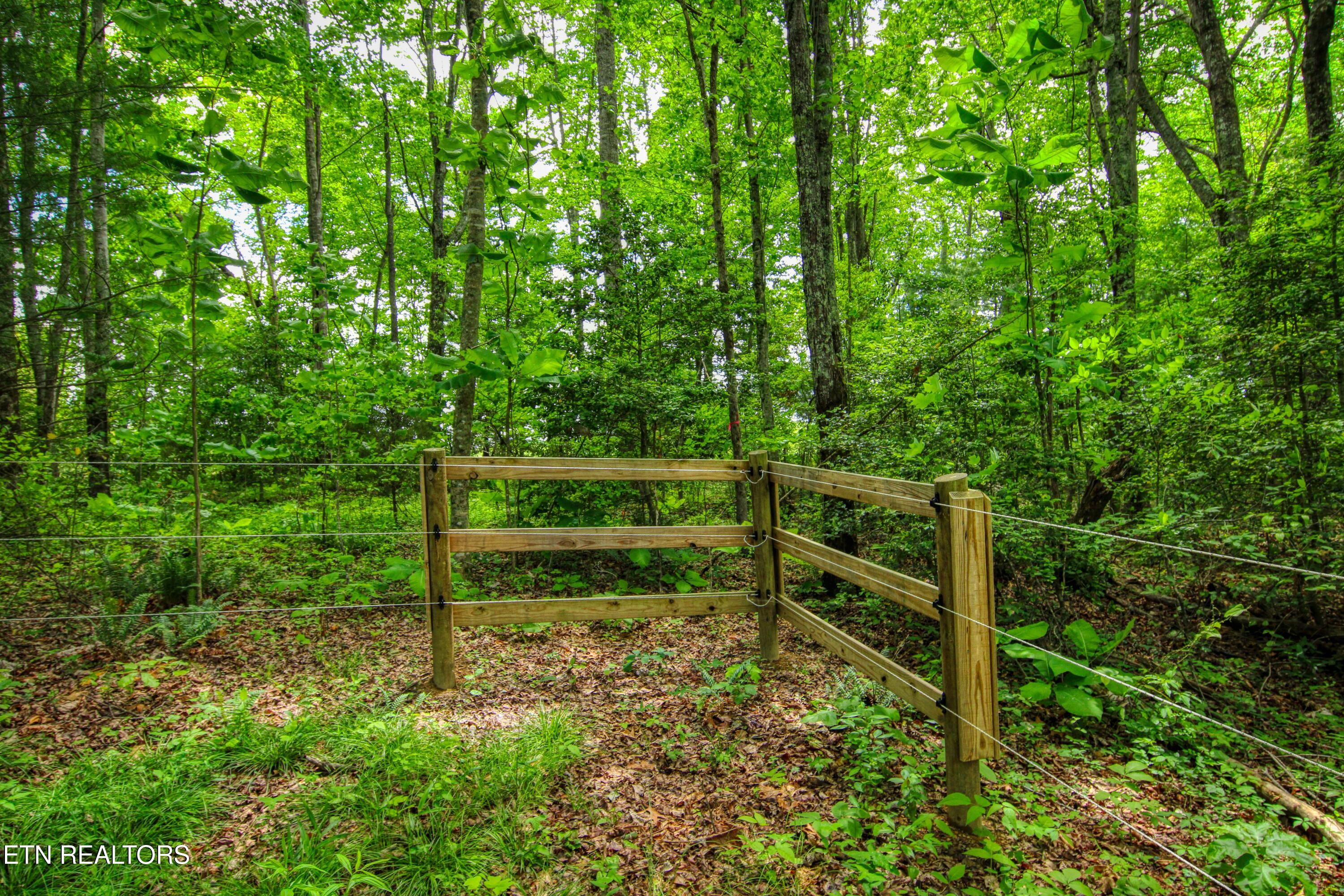 279 Crouch Branch Lane Allardt TN 38504