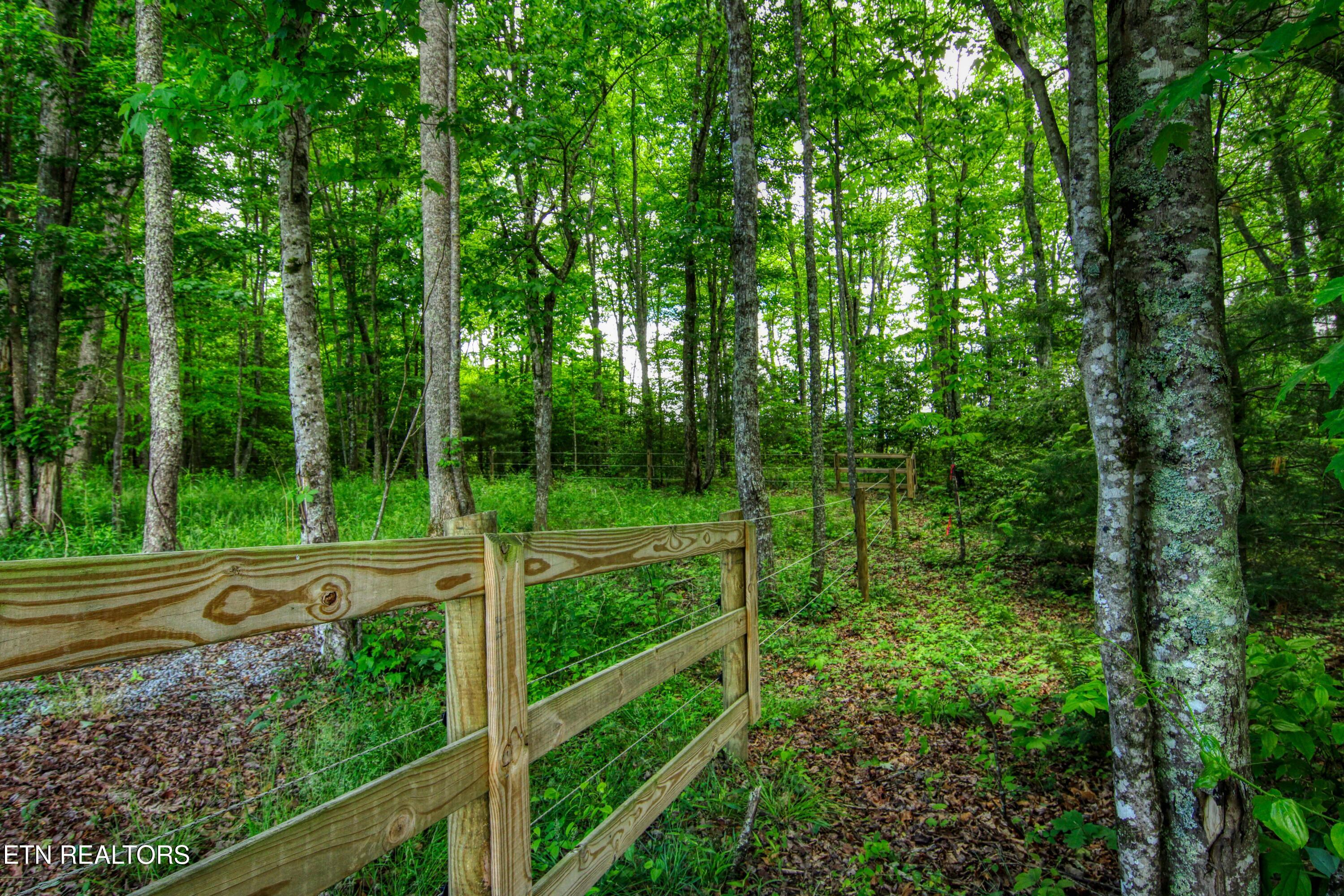 279 Crouch Branch Lane Allardt TN 38504
