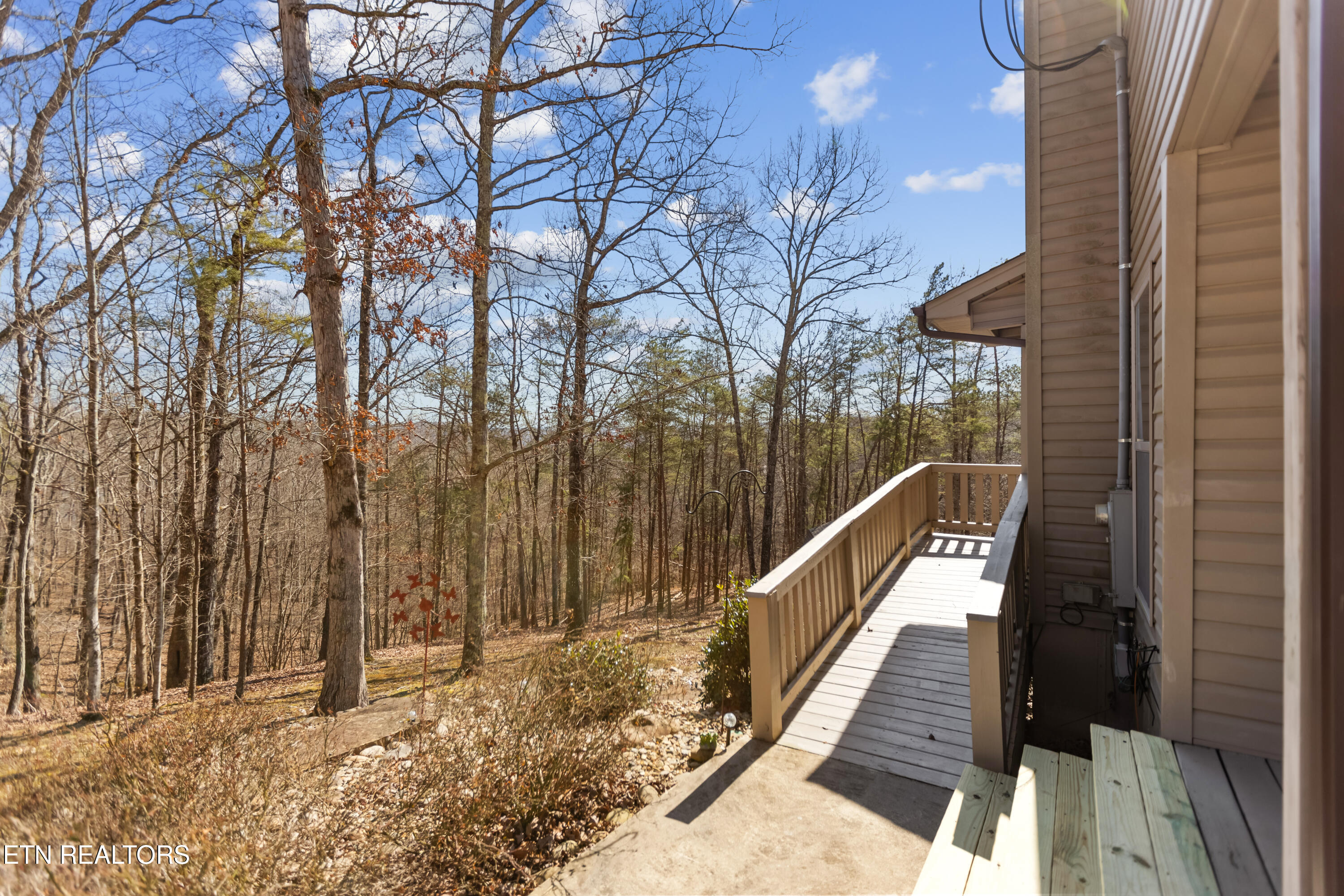 1118 Indian Shadows Drive Ten Mile TN 37880