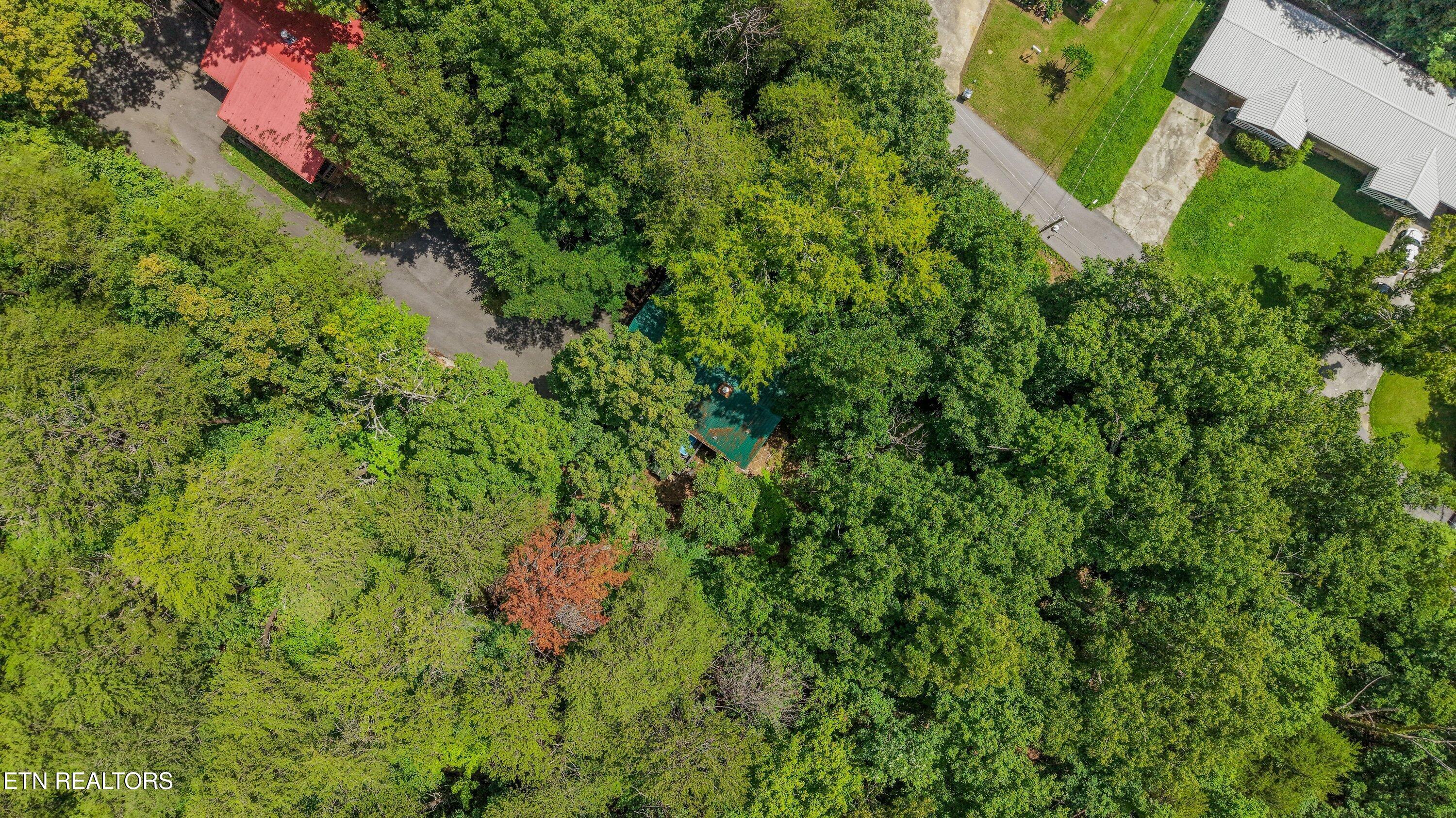 615 Iron Mountain Road Pigeon Forge TN 37863