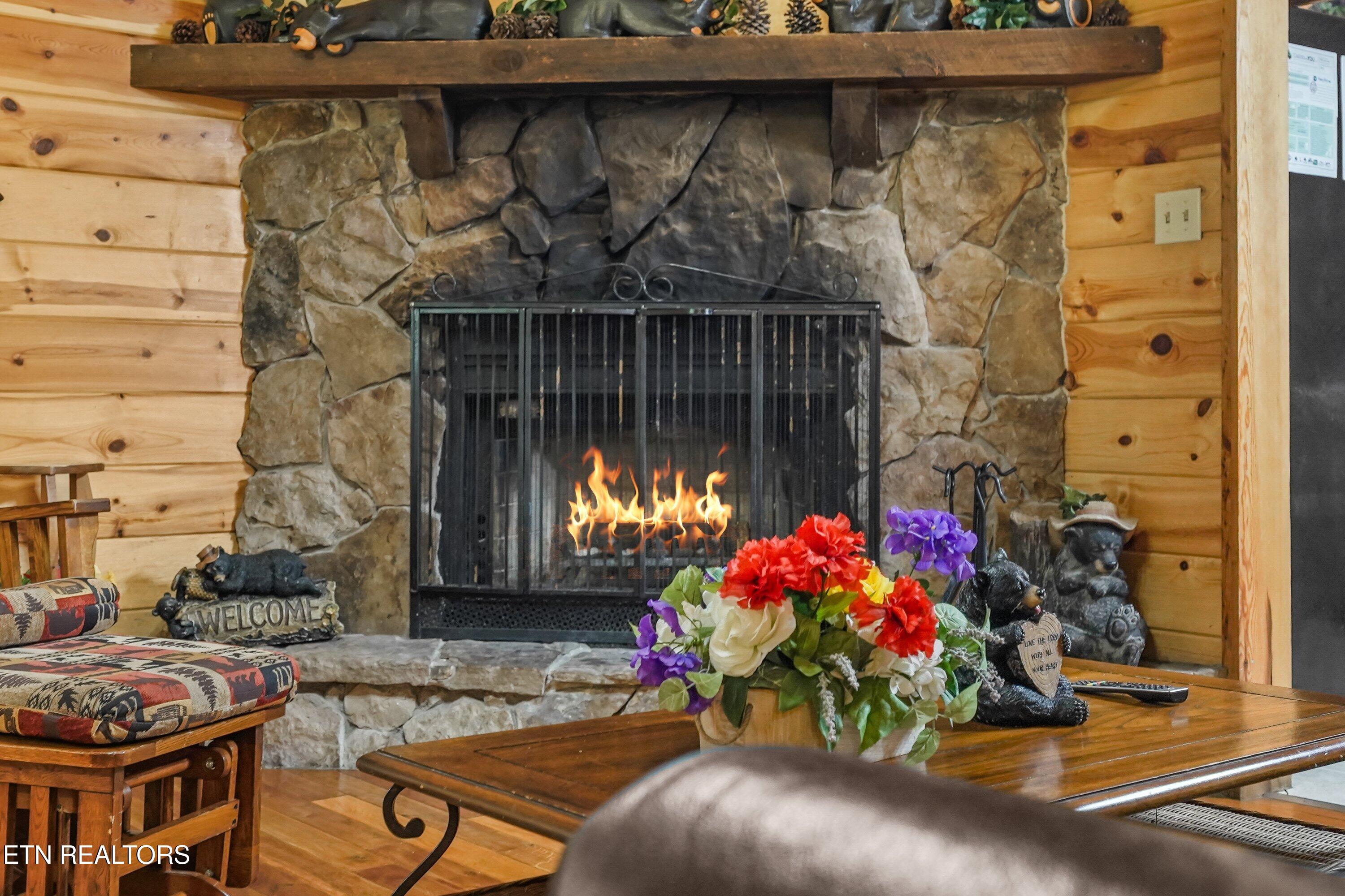 615 Iron Mountain Road Pigeon Forge TN 37863