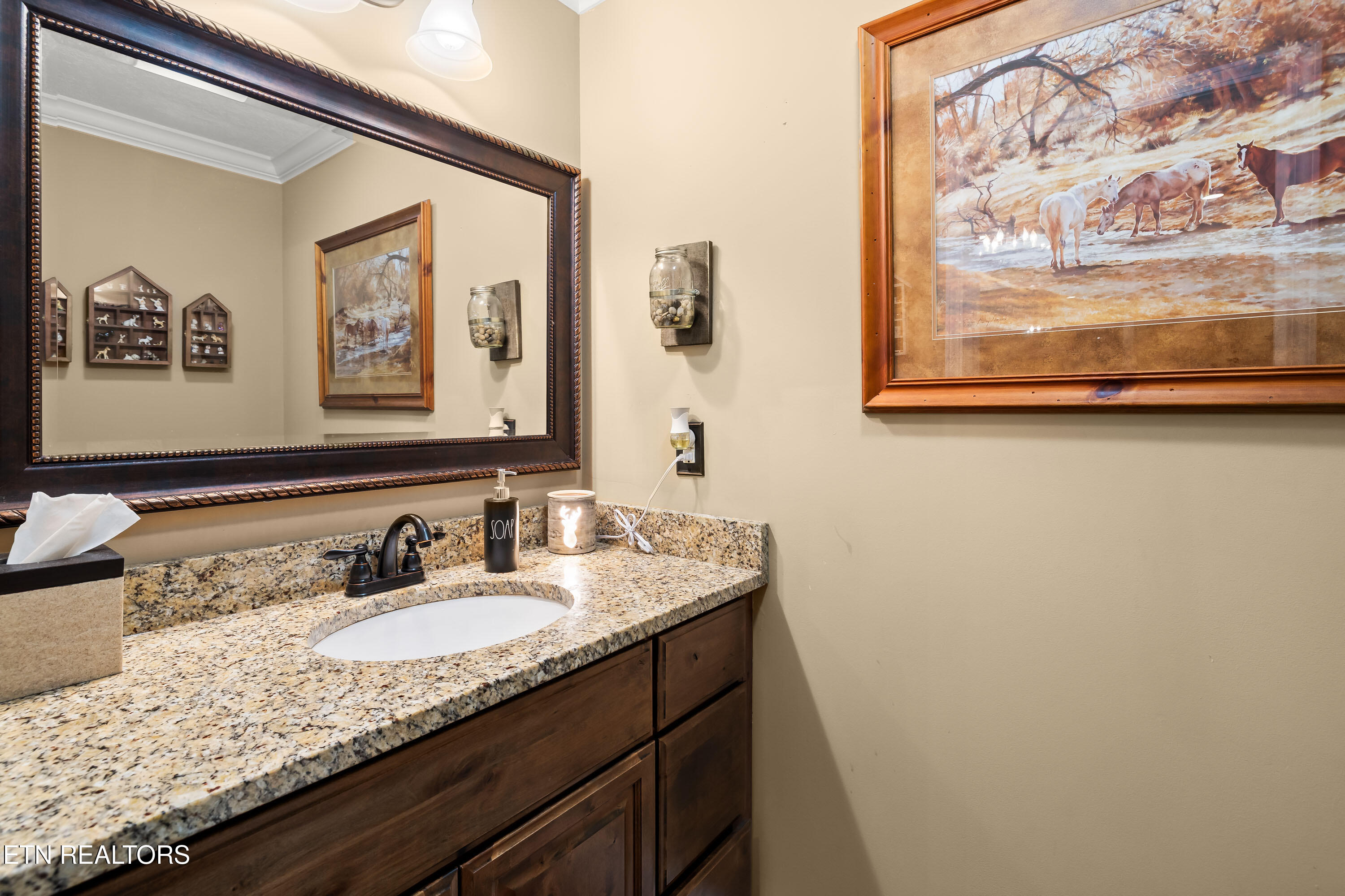 4323 Deer Run Drive Louisville TN 37777