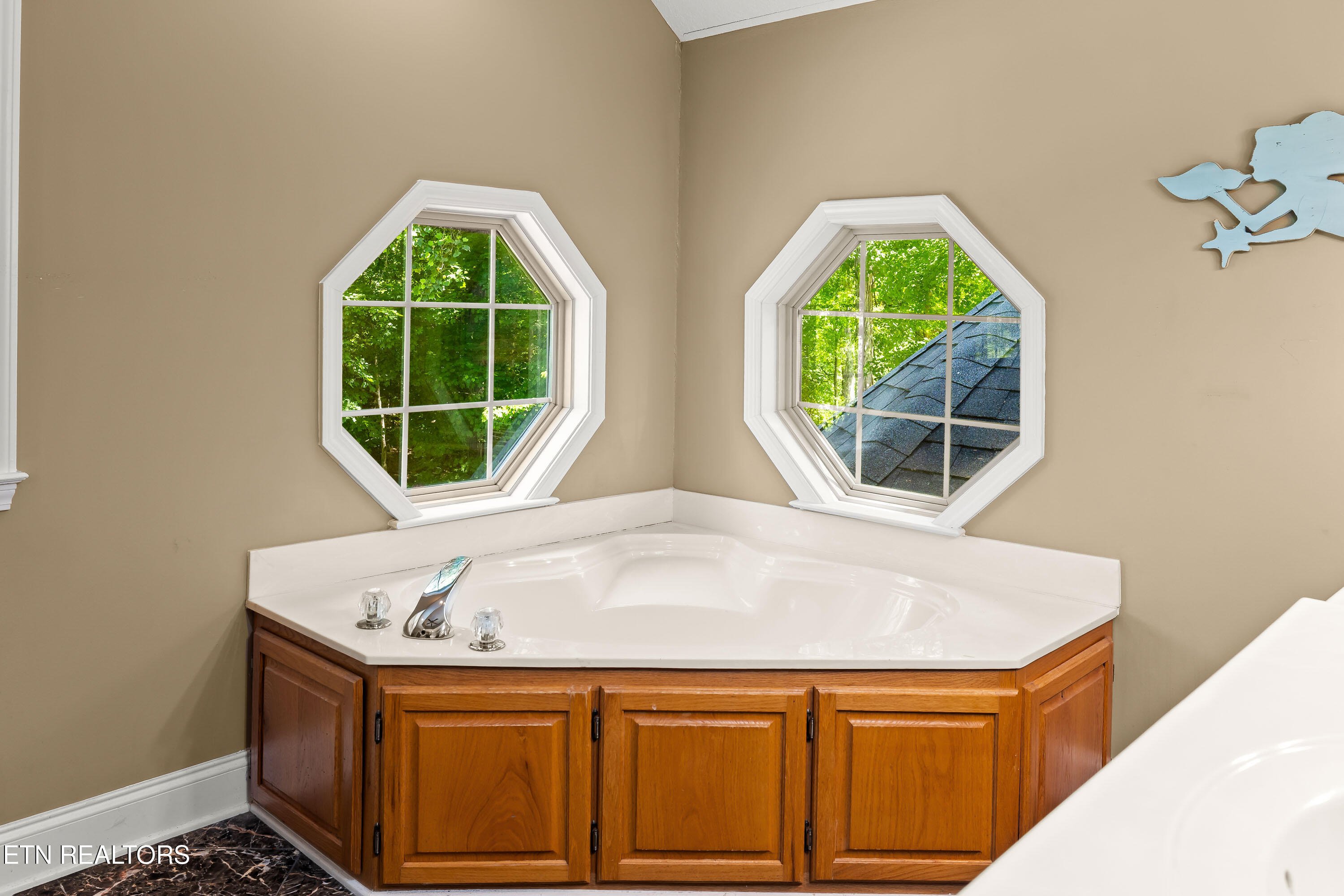4323 Deer Run Drive Louisville TN 37777