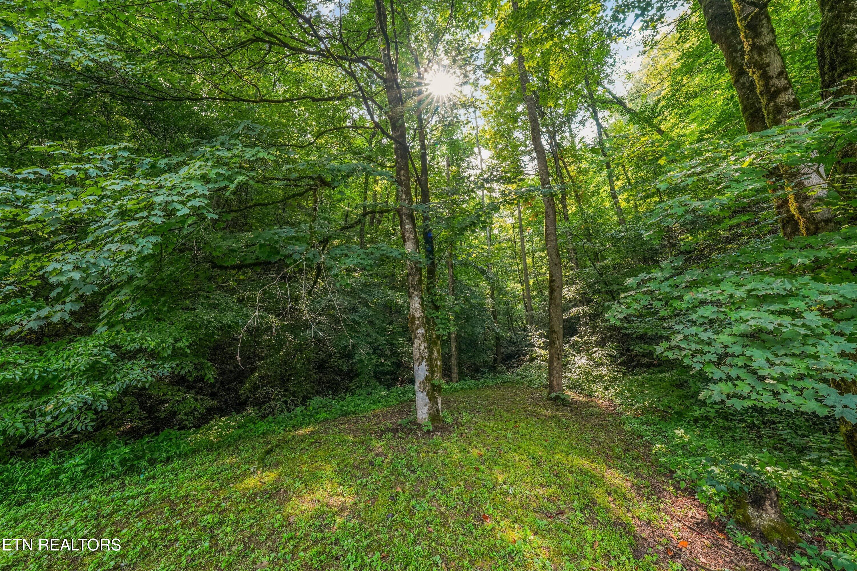 813 Steer Creek Road Tellico Plains TN 37385