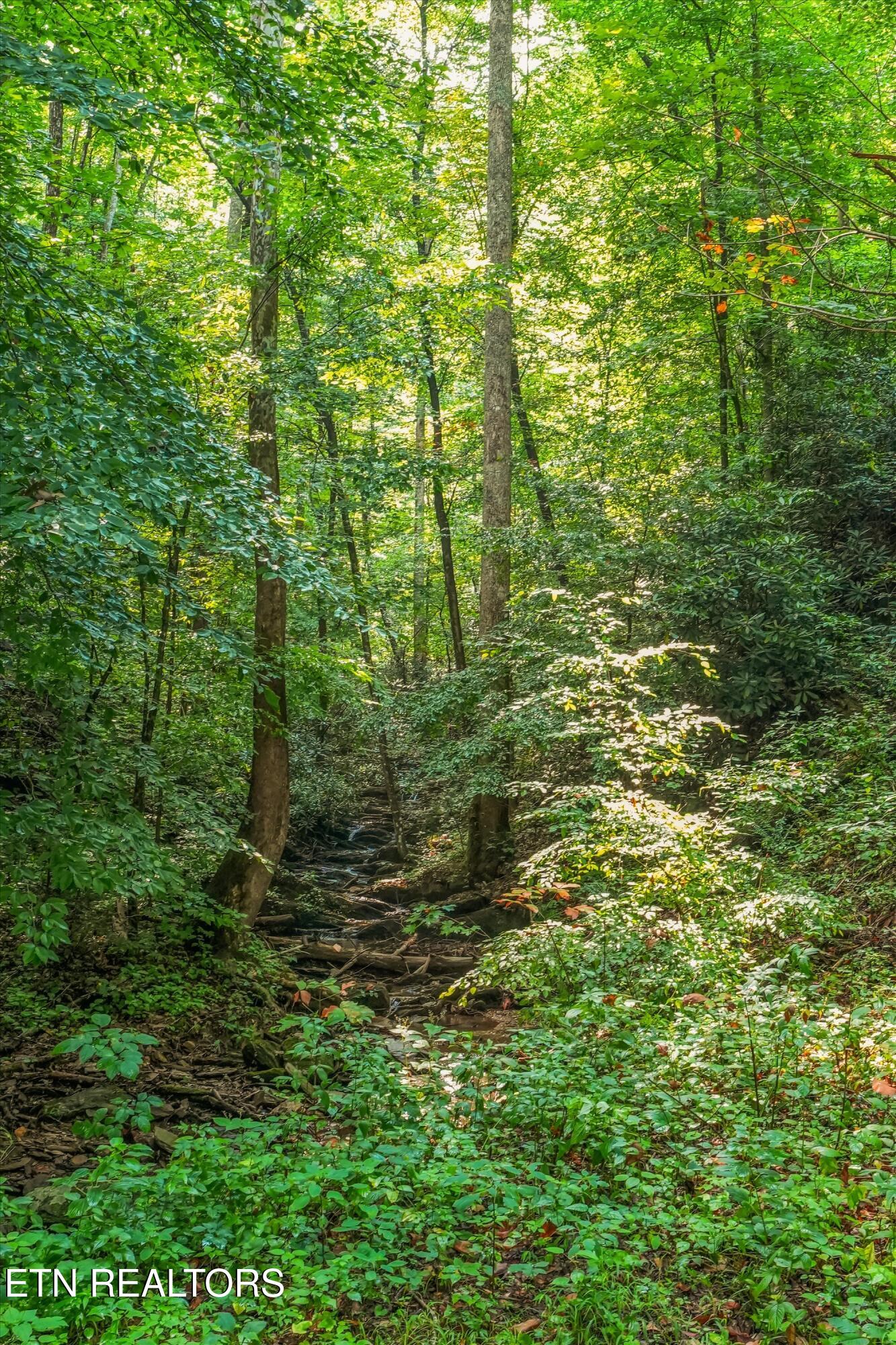 813 Steer Creek Road Tellico Plains TN 37385