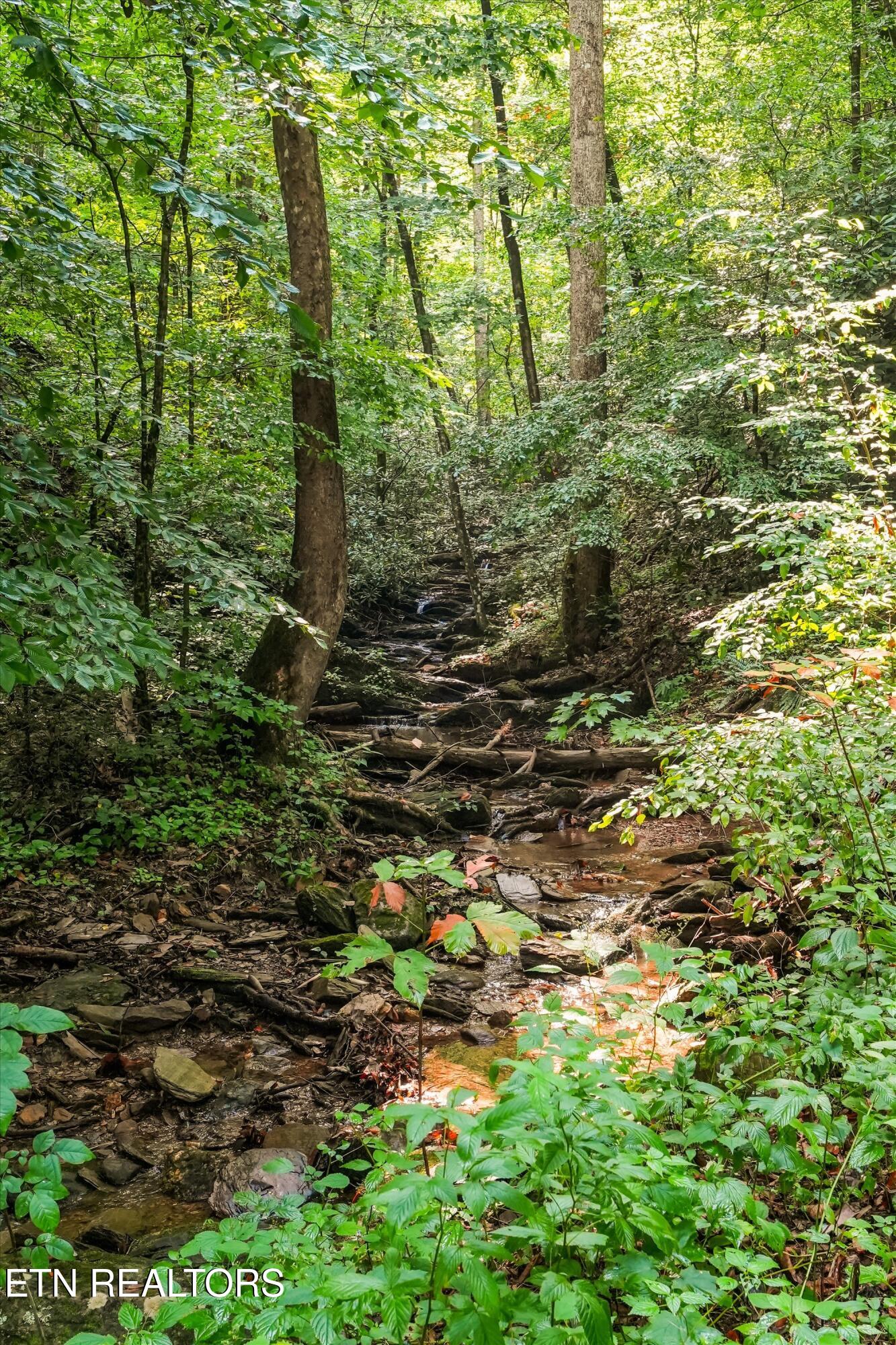 813 Steer Creek Road Tellico Plains TN 37385