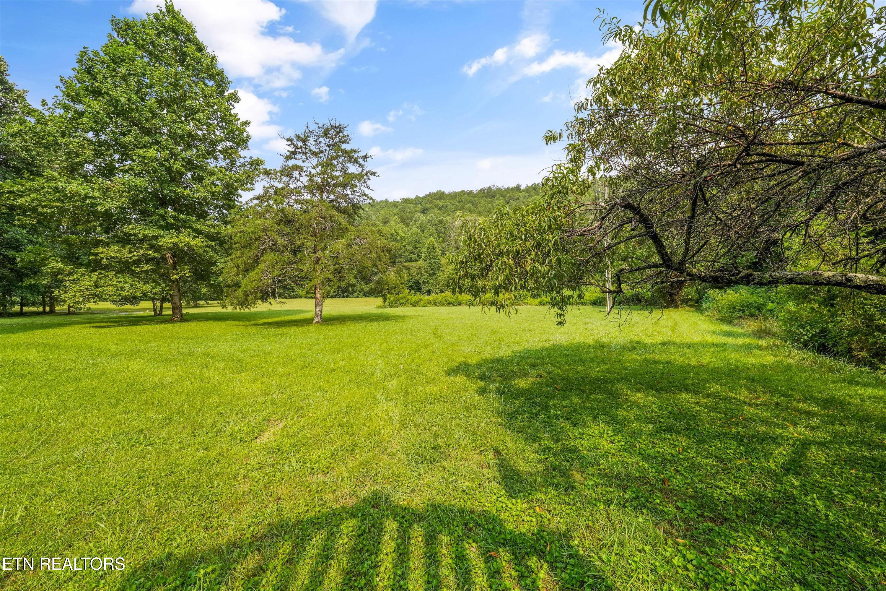 813 Steer Creek Road Tellico Plains TN 37385