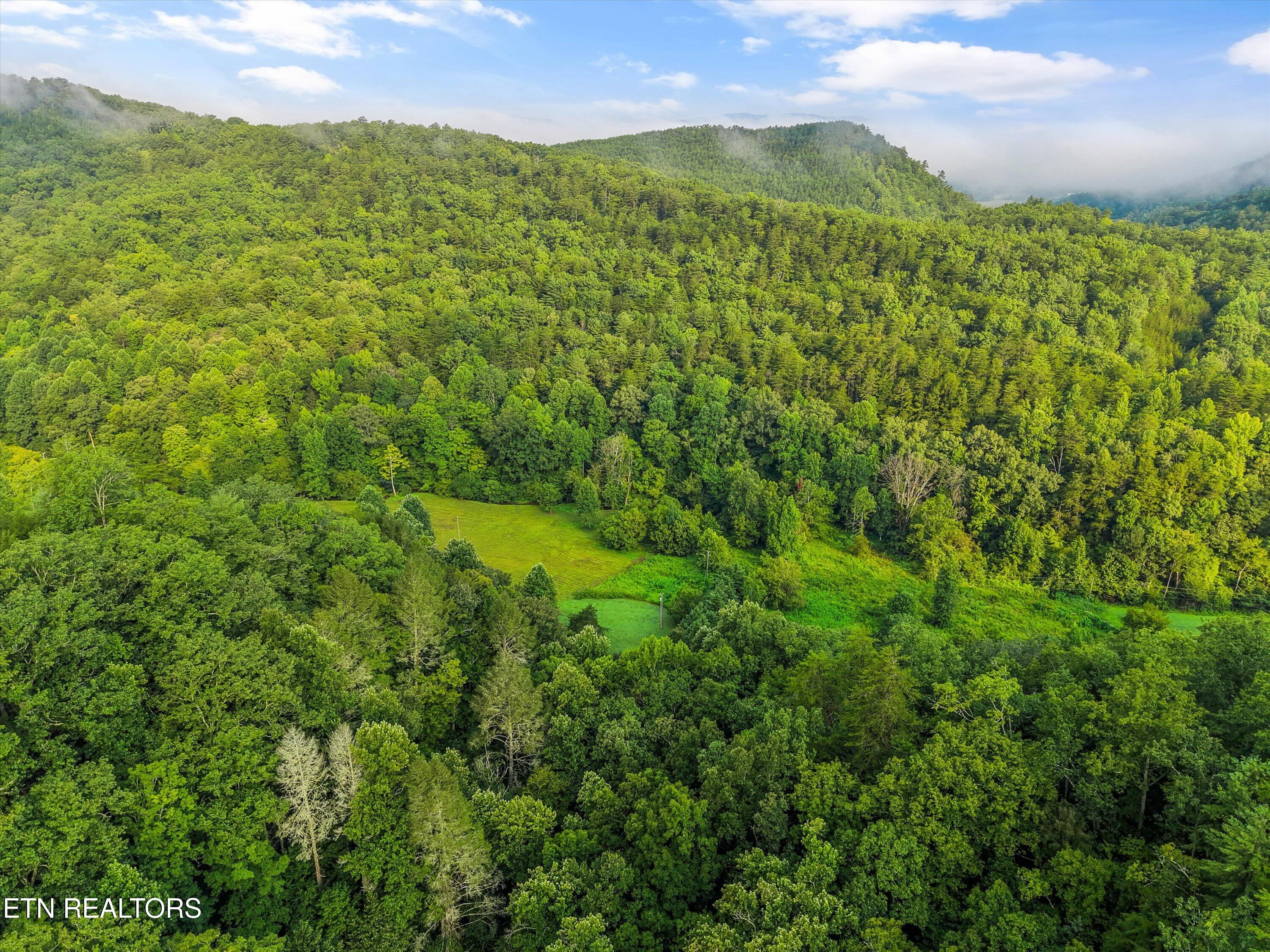 813 Steer Creek Road Tellico Plains TN 37385