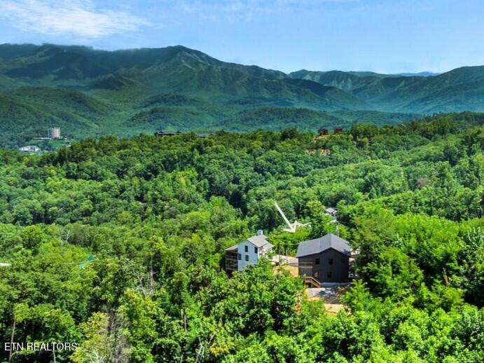 1131 Longview Court Gatlinburg TN 37738