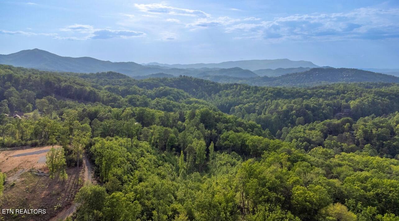 109 Laurel Way Gatlinburg TN 37738