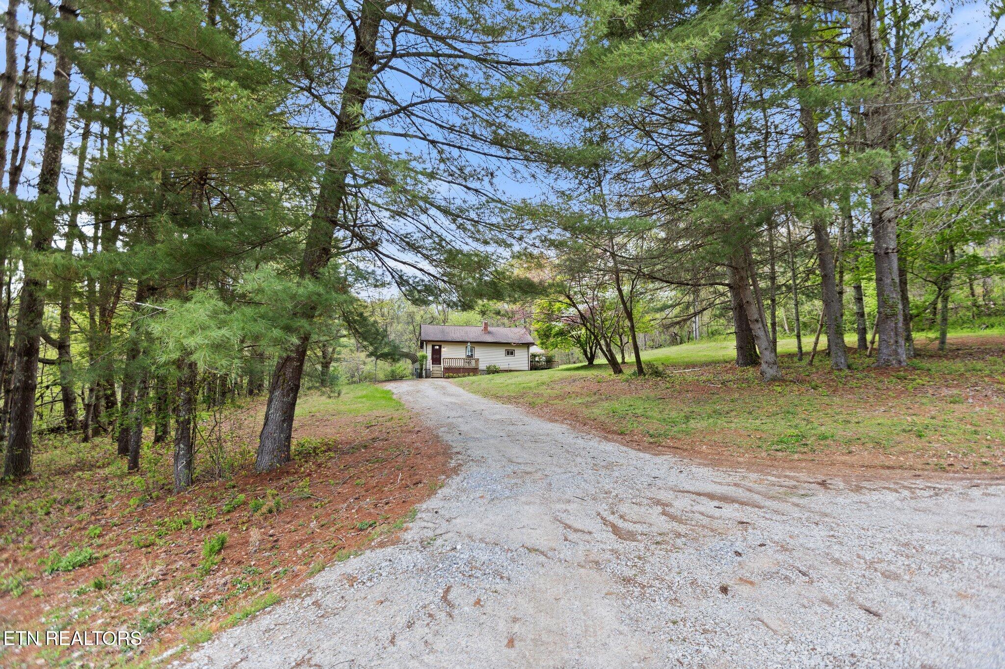 175 Johnson Lane Rocky Top TN 37769
