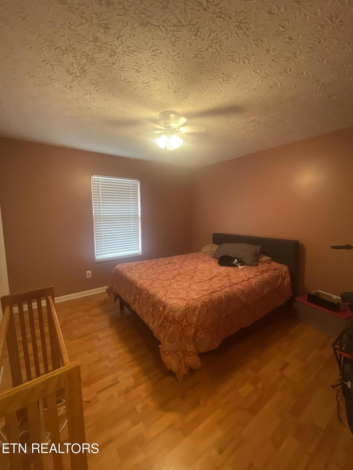 616 Emerald Avenue Seymour TN 37865
