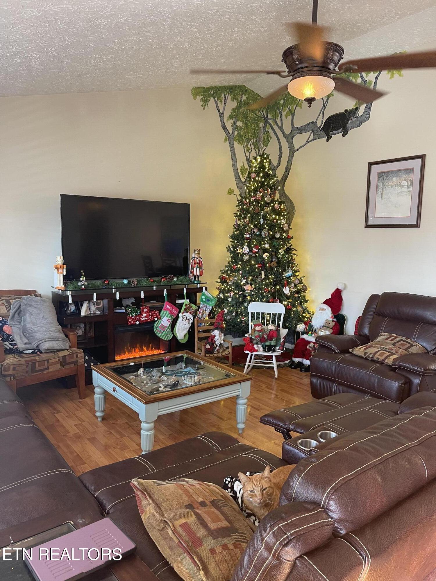 616 Emerald Avenue Seymour TN 37865
