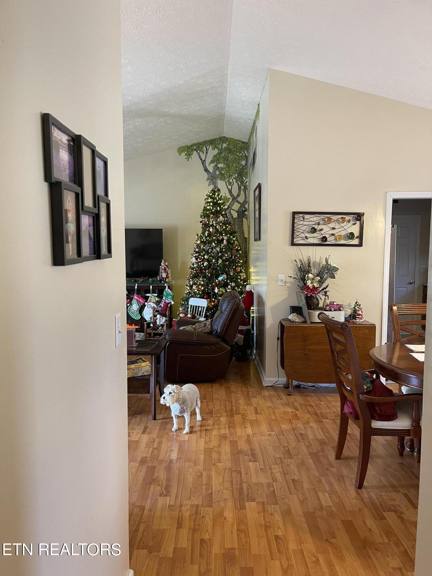 616 Emerald Avenue Seymour TN 37865
