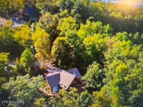 1455 Mountain Dreams Way Sevierville TN 37862