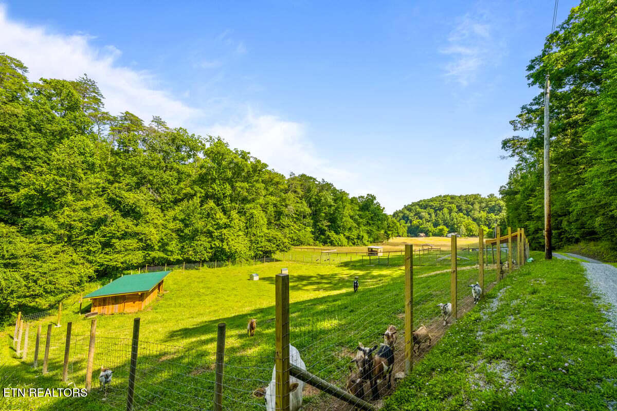 237 Foster Road Heiskell TN 37754