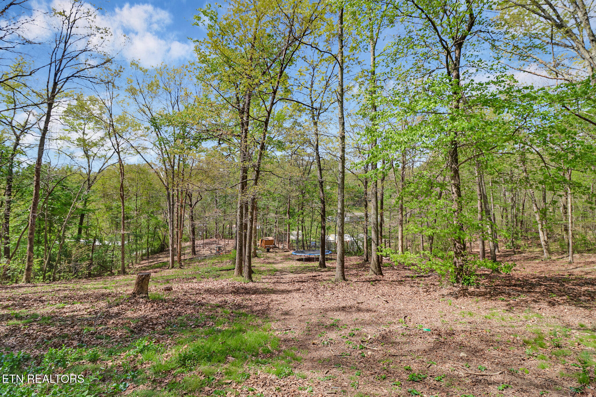 703 Crestview Drive Rockwood TN 37854