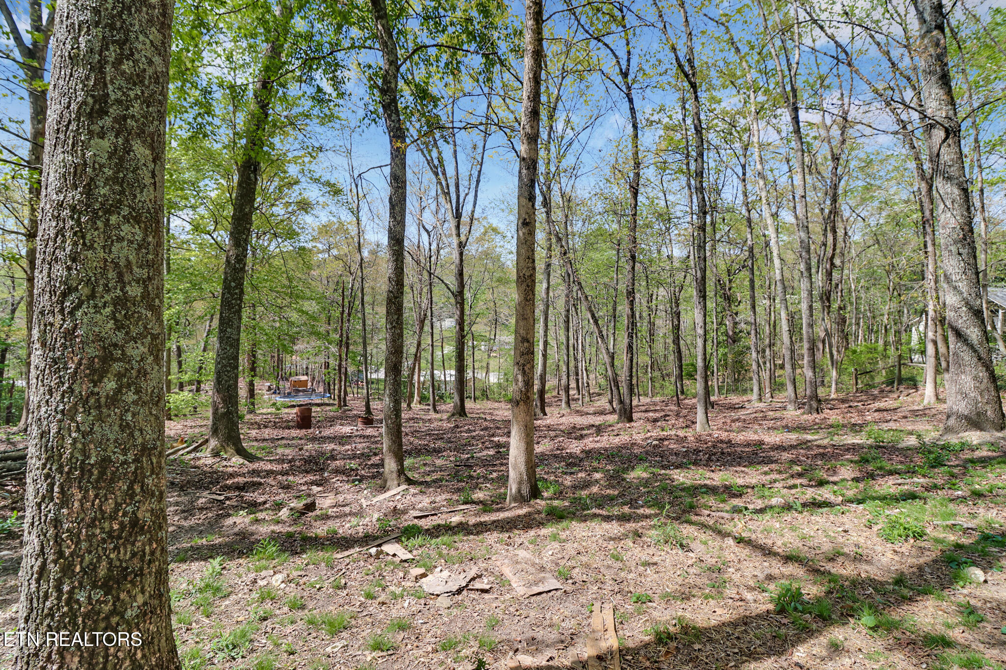 703 Crestview Drive Rockwood TN 37854