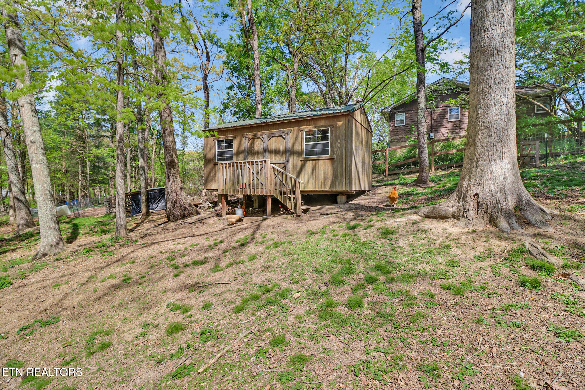703 Crestview Drive Rockwood TN 37854