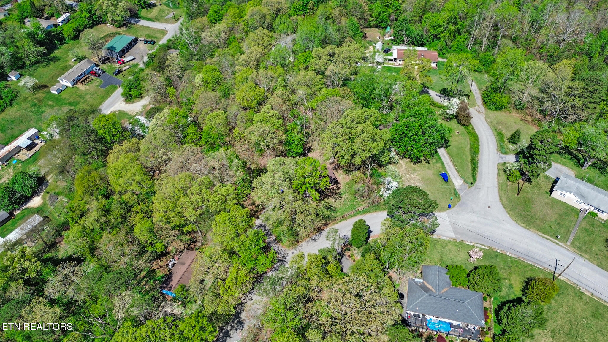 703 Crestview Drive Rockwood TN 37854
