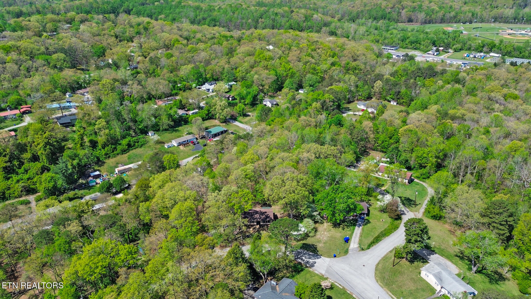 703 Crestview Drive Rockwood TN 37854