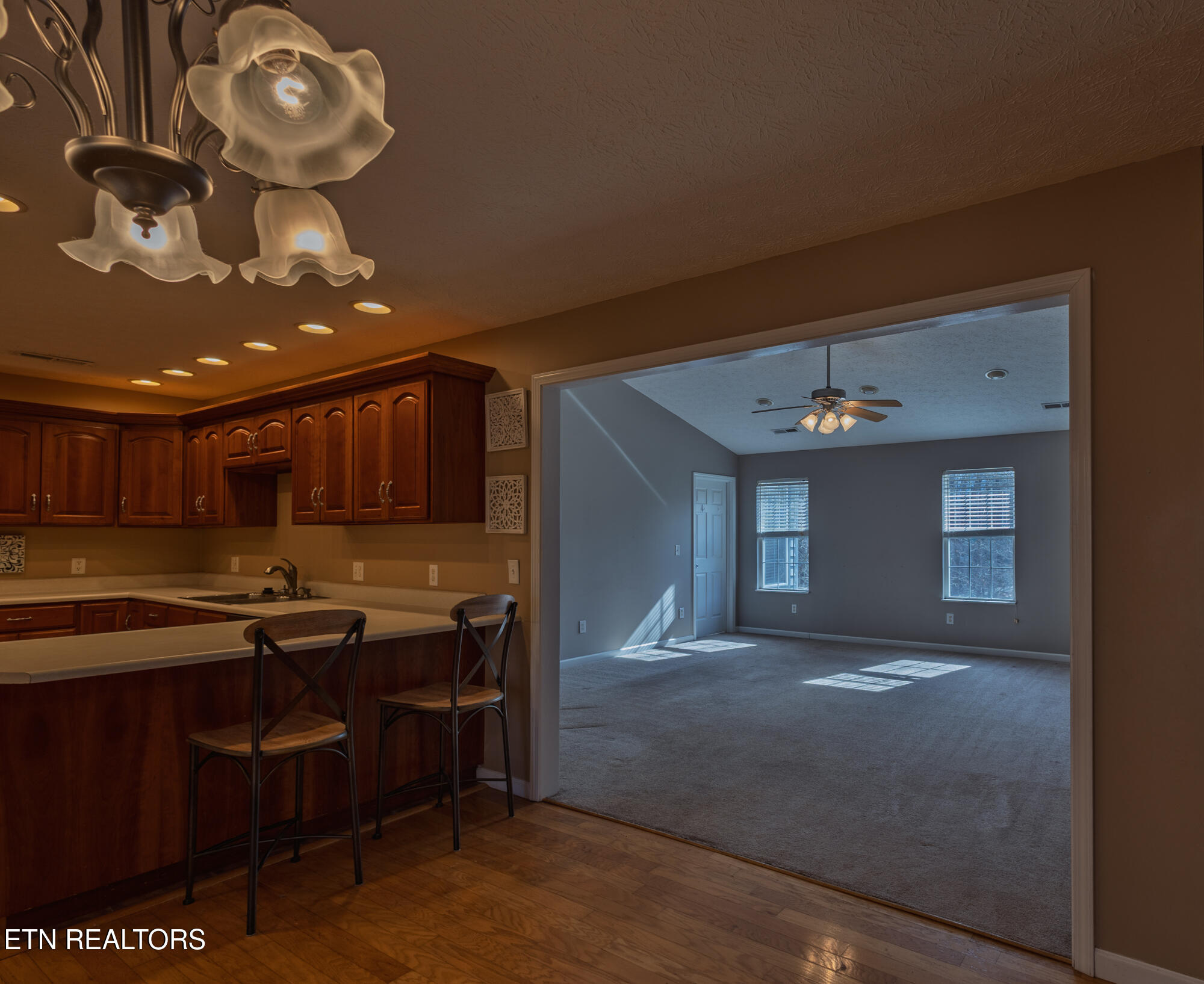 582 Mountain Drive Gatlinburg TN 37738