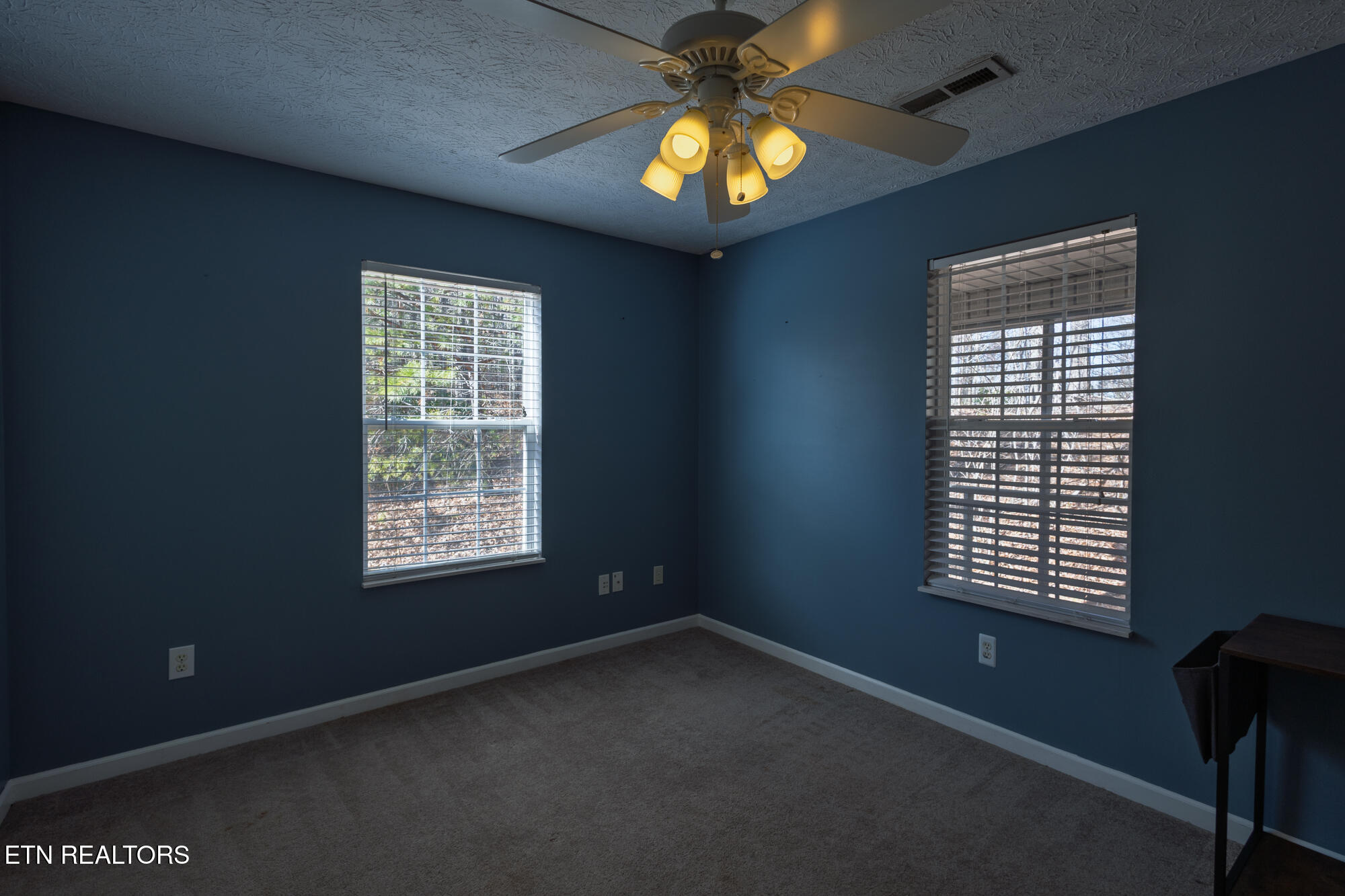 582 Mountain Drive Gatlinburg TN 37738