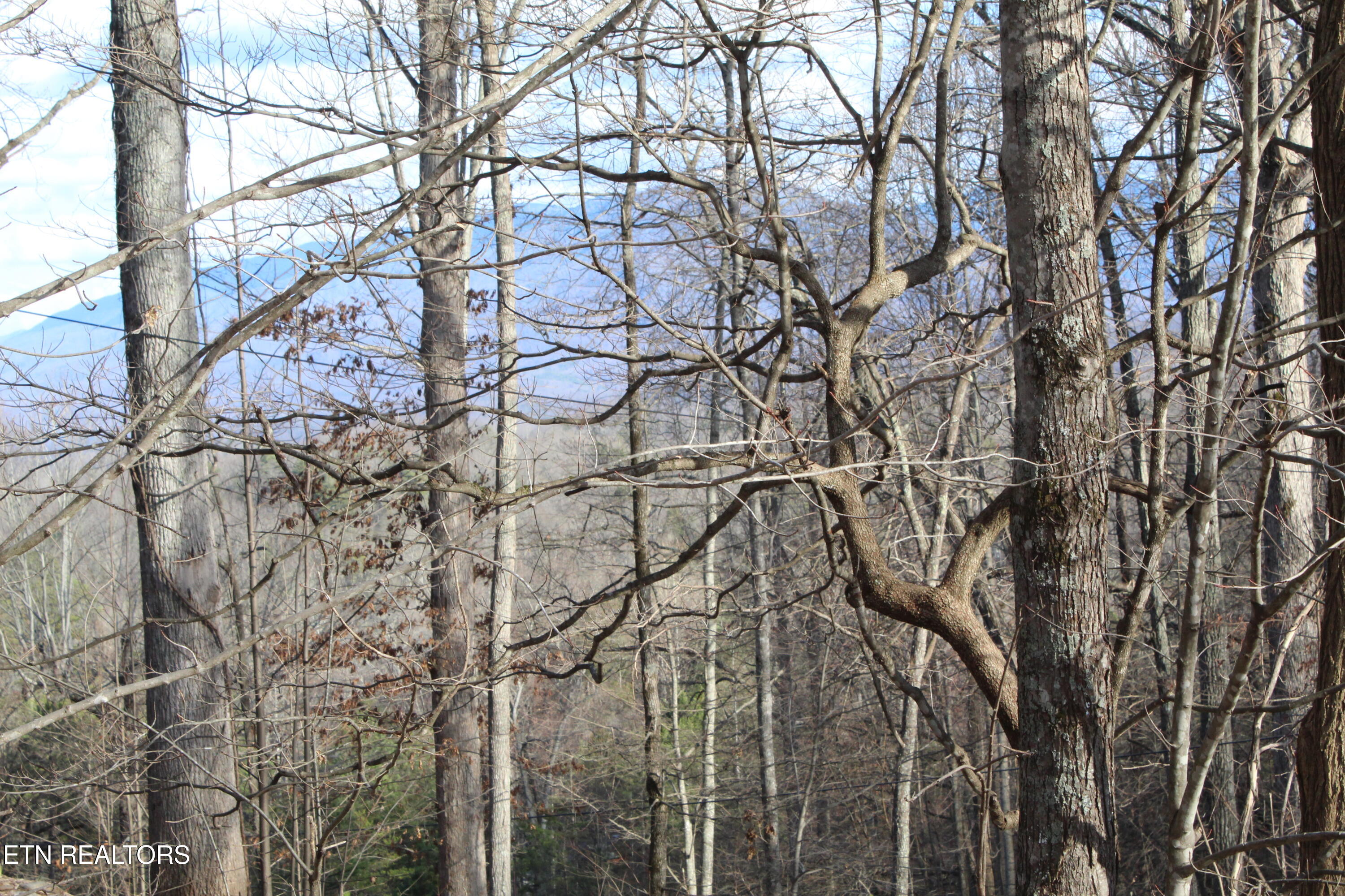 582 Mountain Drive Gatlinburg TN 37738