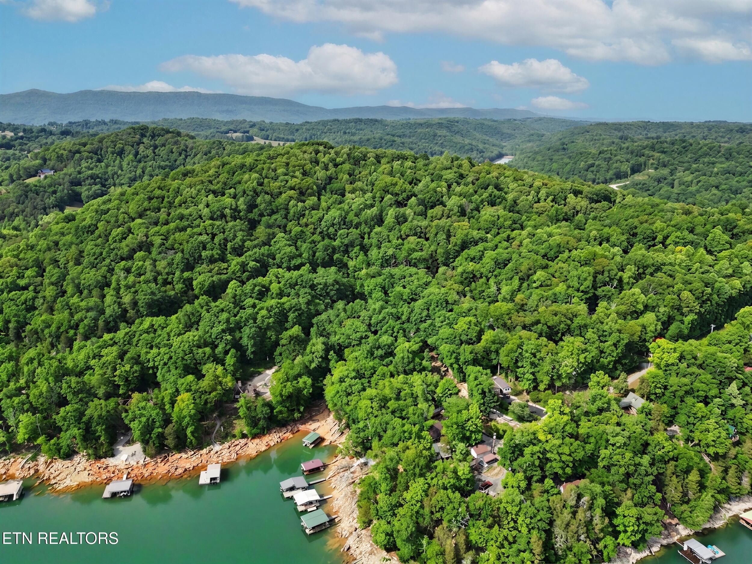 949 Flat Hollow Marina Road Speedwell TN 37870