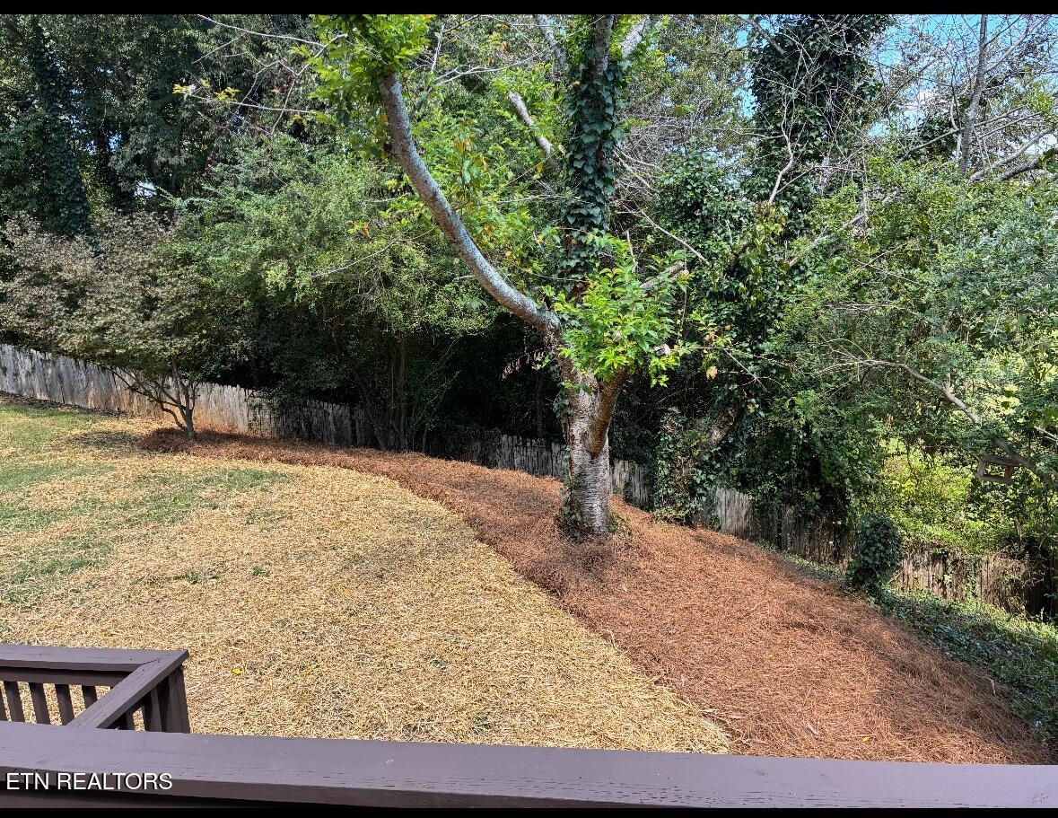 1440 Queensbridge Drive Knoxville TN 37922