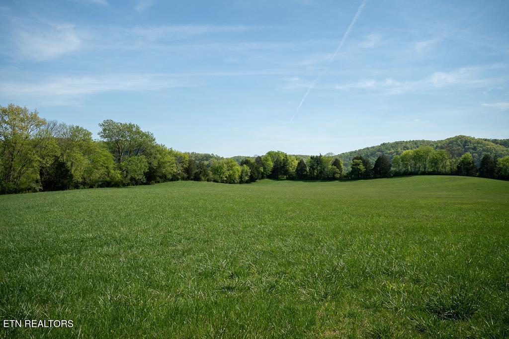 3731 Big Bottom Road Whitleyville TN 38588