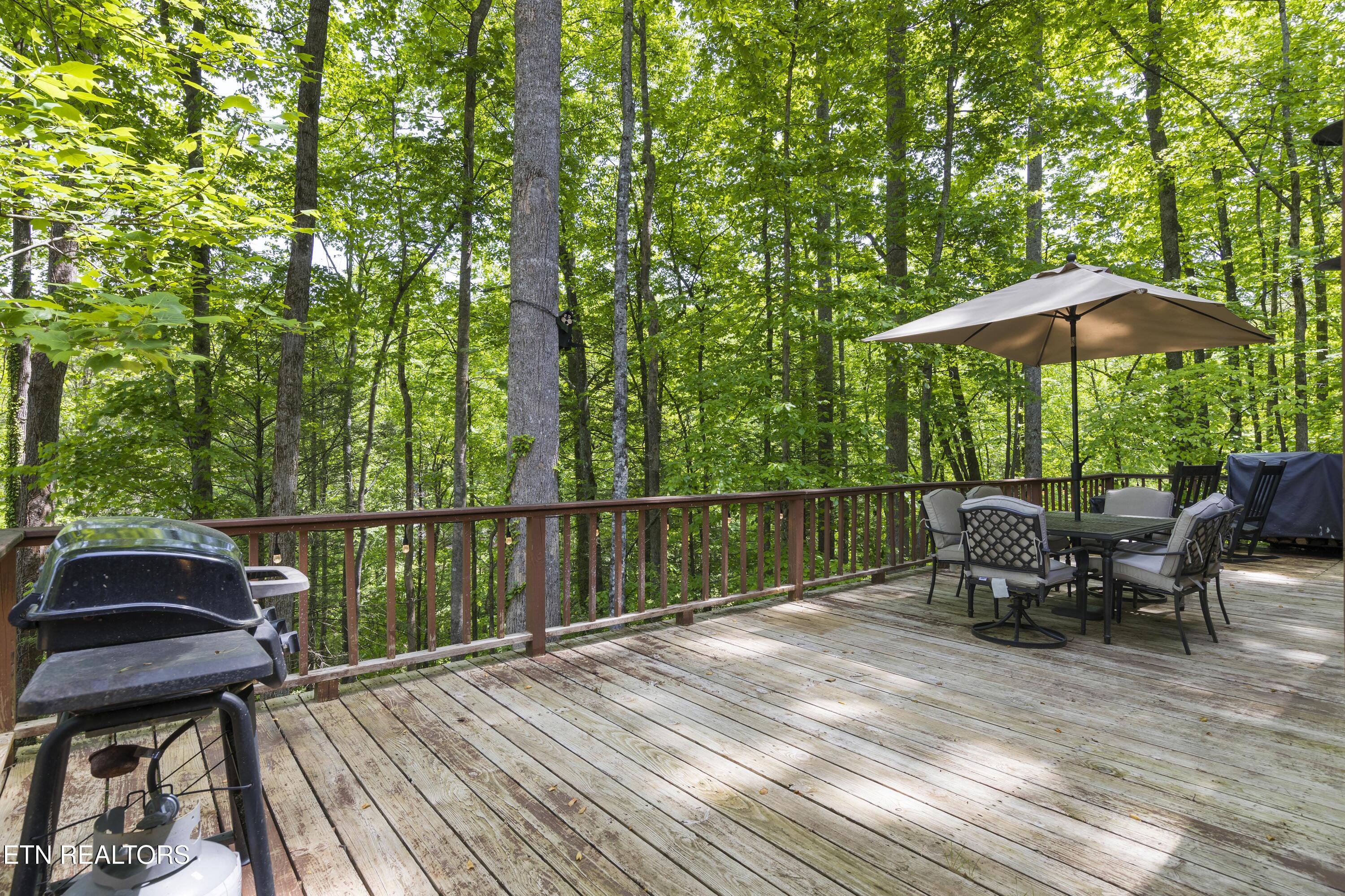 536 Ownby Circle Gatlinburg TN 37738