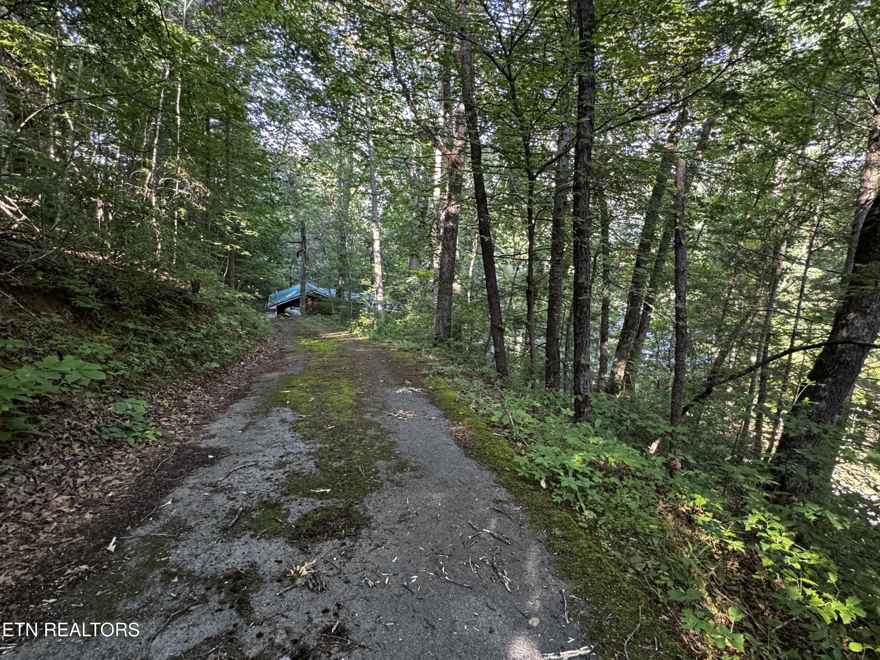 530 Parton Drive Gatlinburg TN 37738