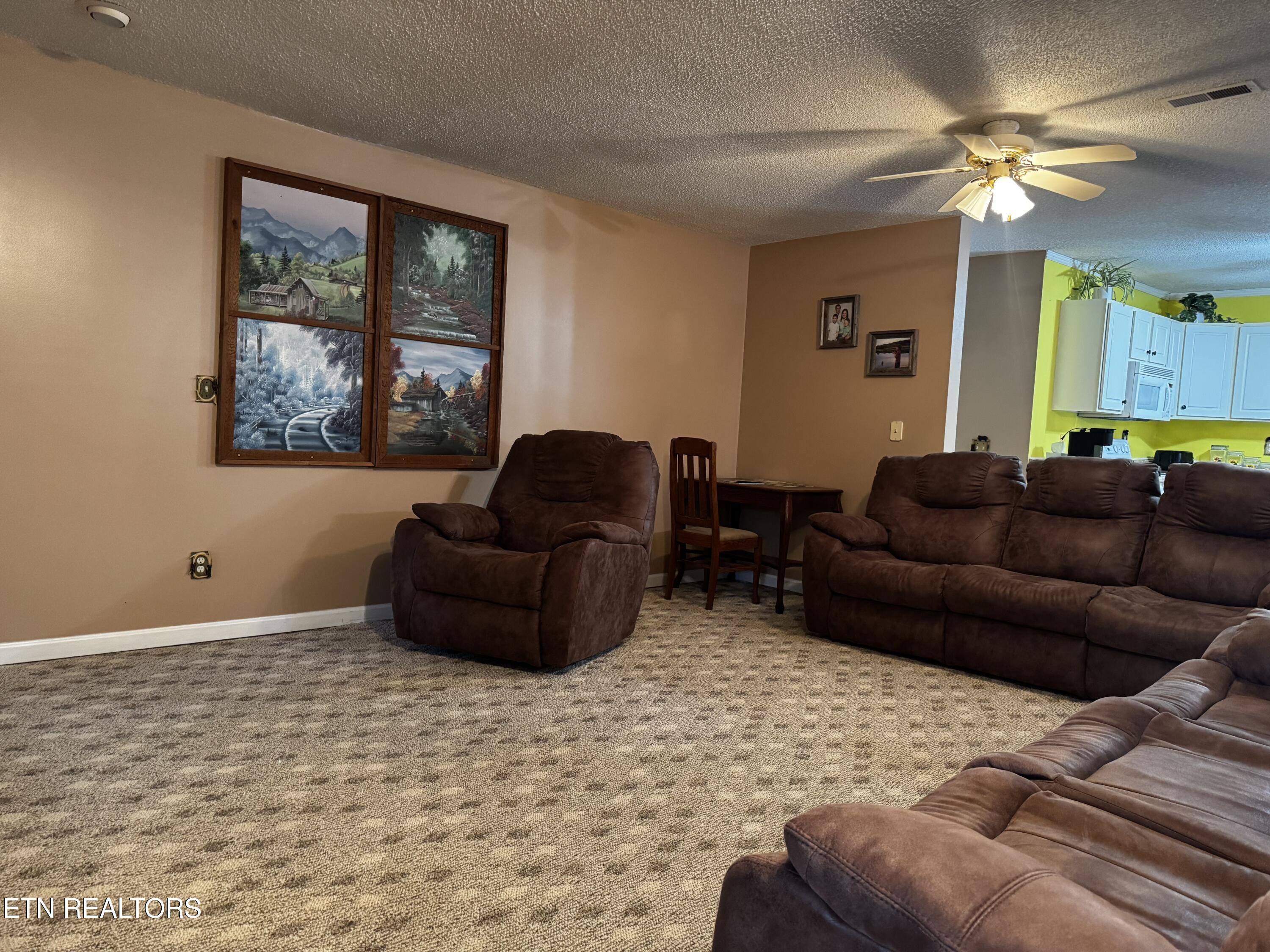 530 Parton Drive Gatlinburg TN 37738