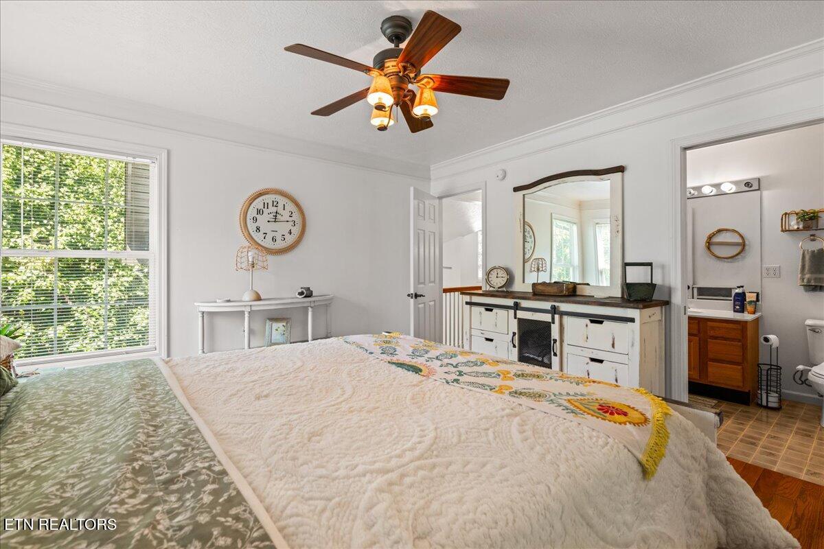 804 Pine Hollow Road Jacksboro TN 37757