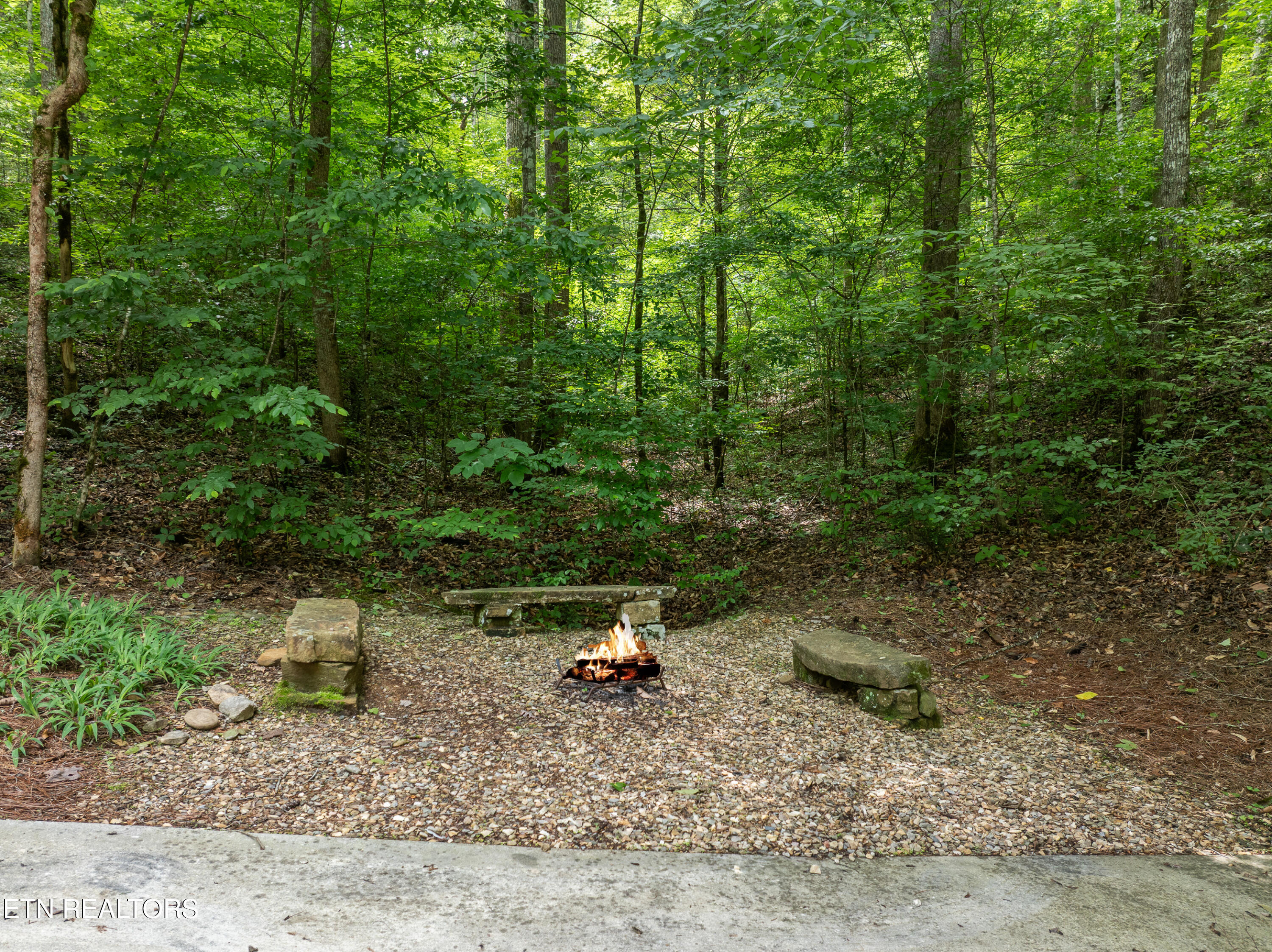 724 Tanasi Trail Townsend TN 37882
