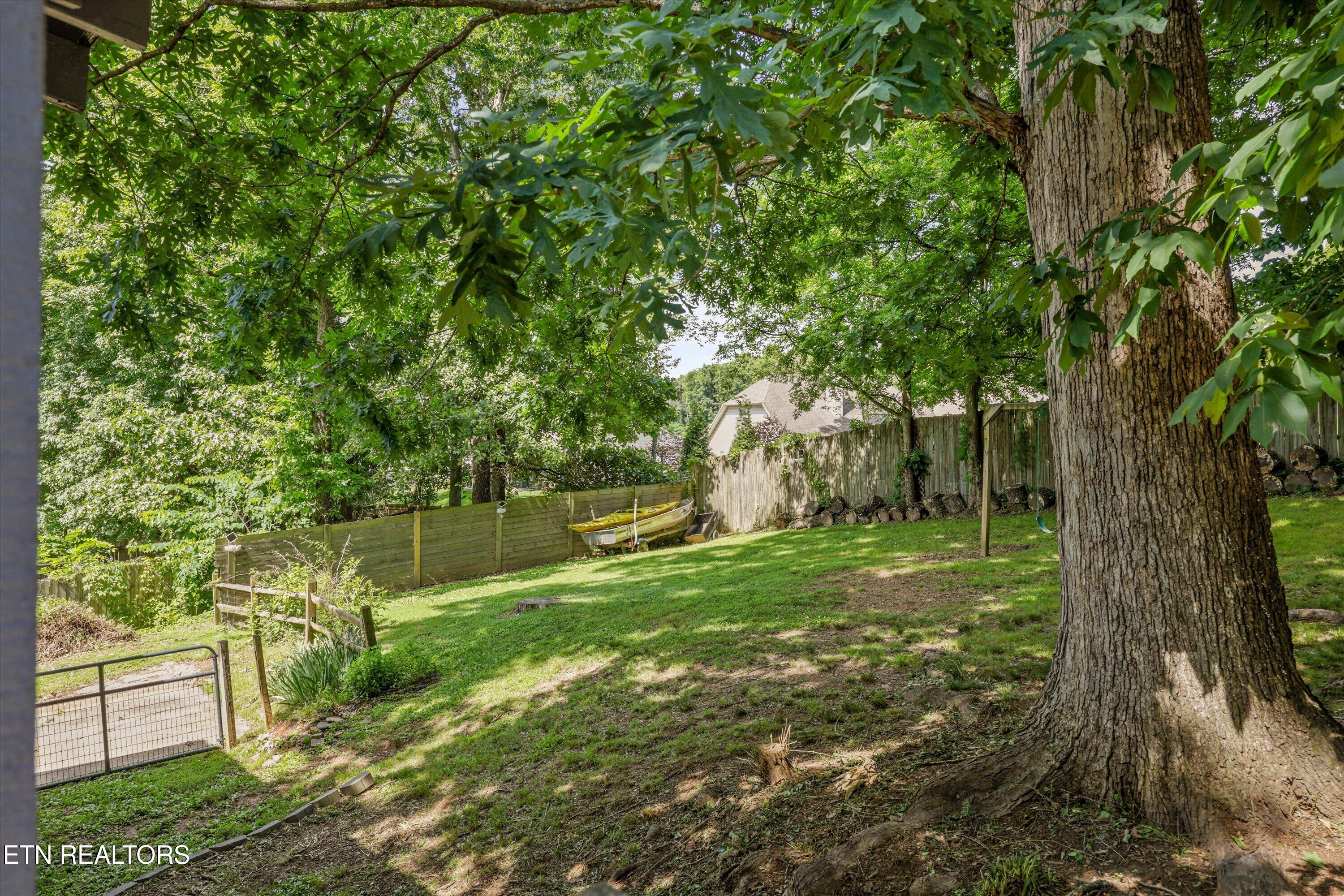 1117 Rain Tree Road Knoxville TN 37923