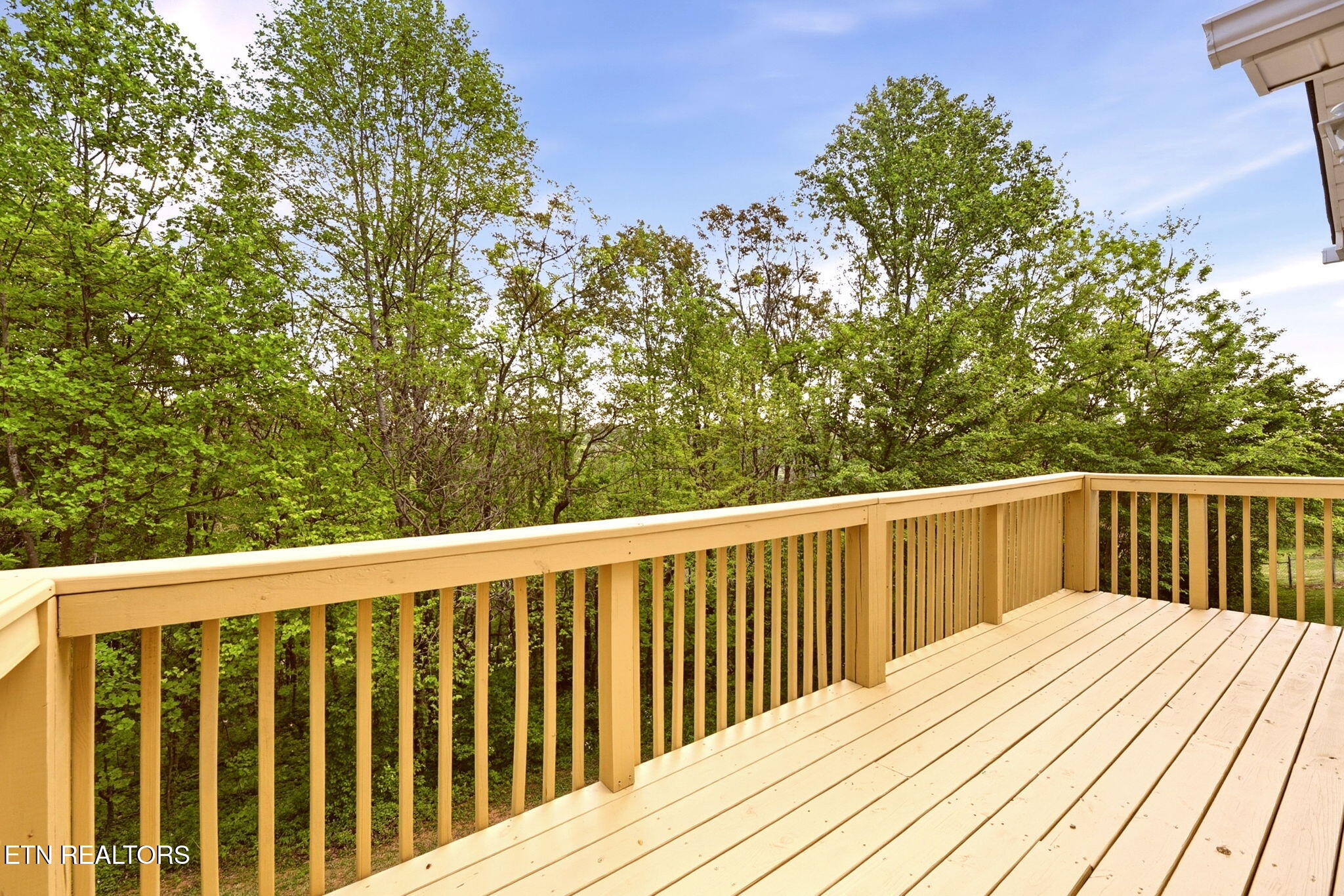 256 Mountain View Estates Caryville TN 37714