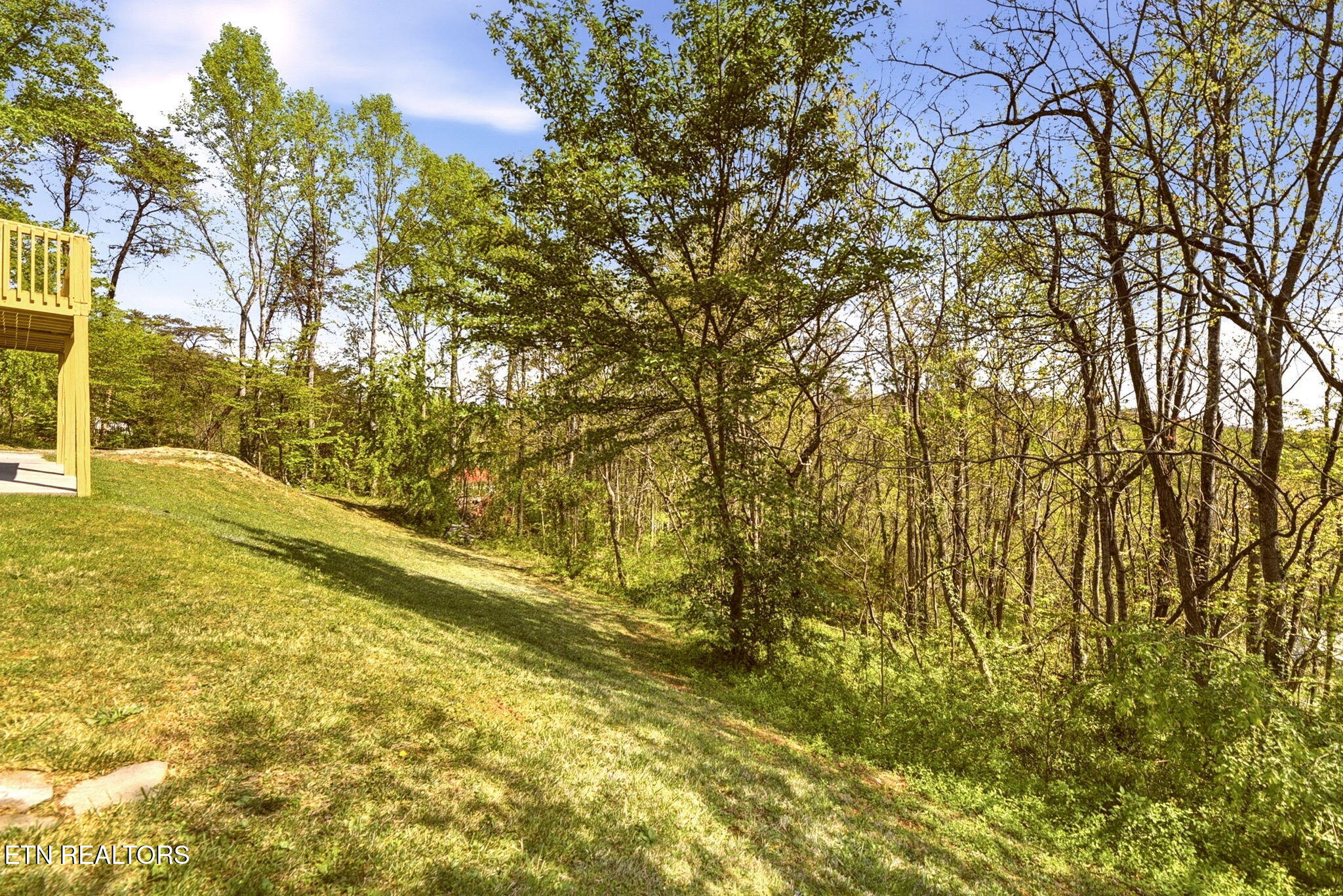 256 Mountain View Estates Caryville TN 37714