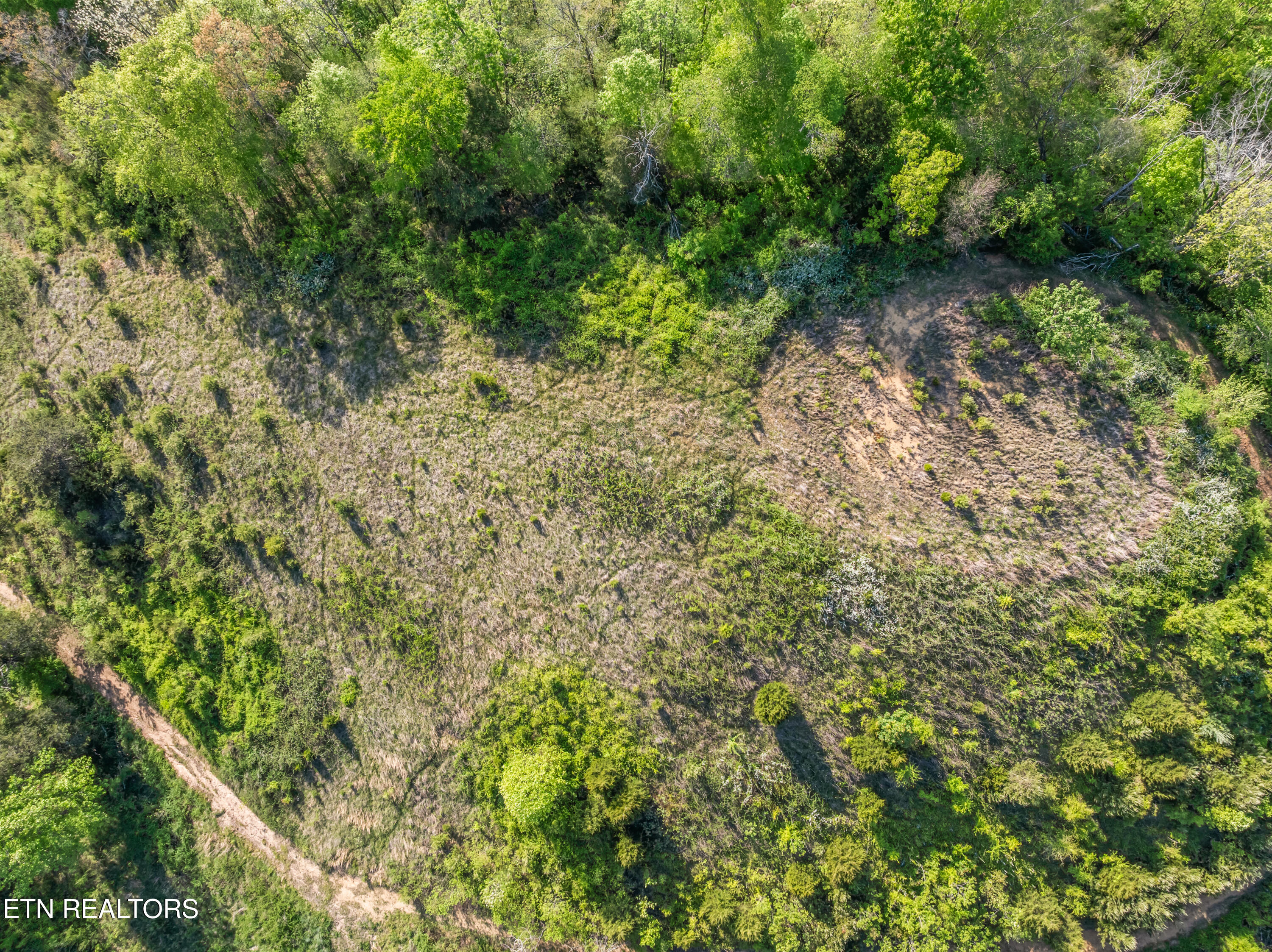 260 Shepard Lane Thorn Hill TN 37881