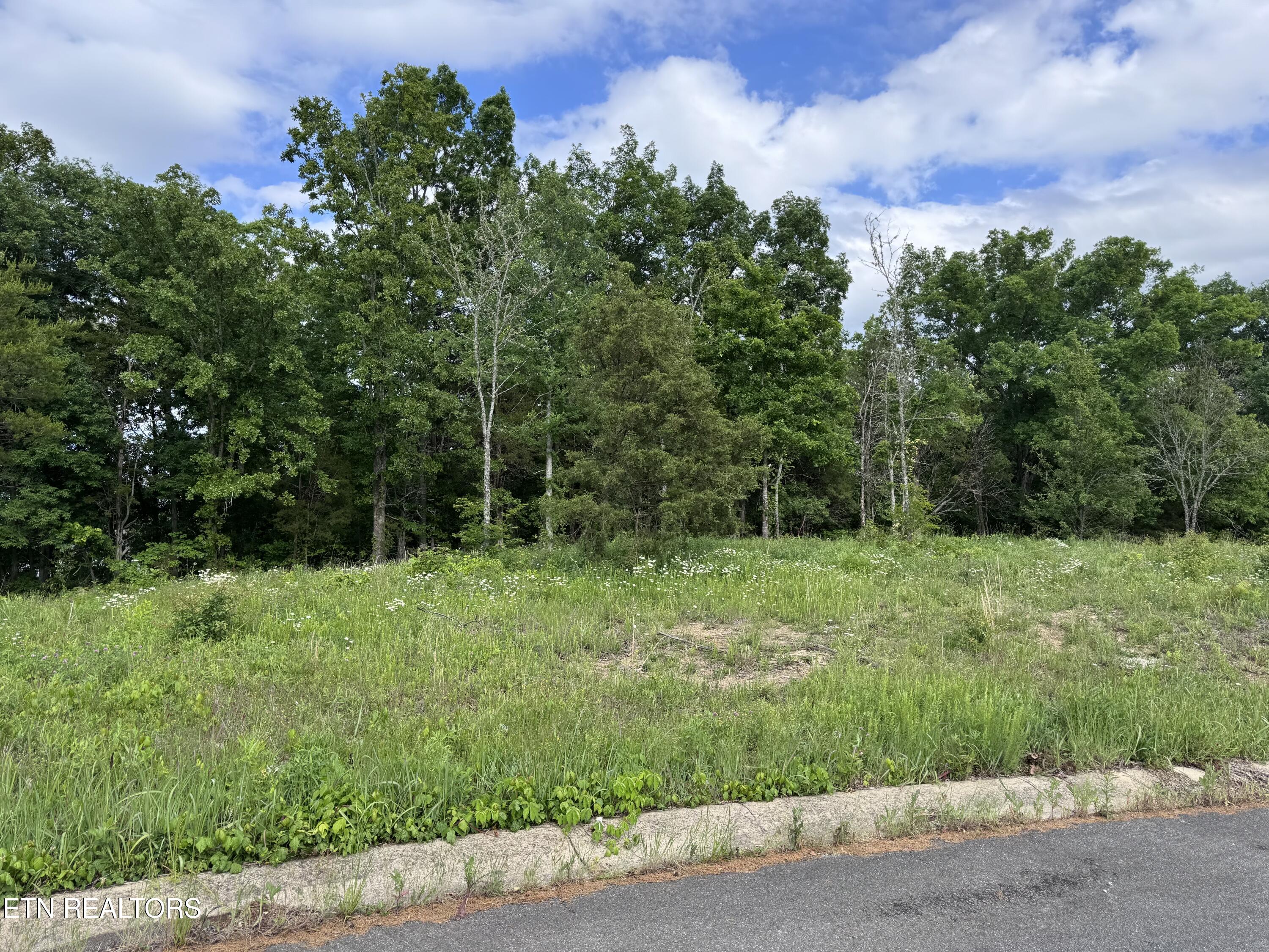2622 Onyx Court Sevierville TN 37876