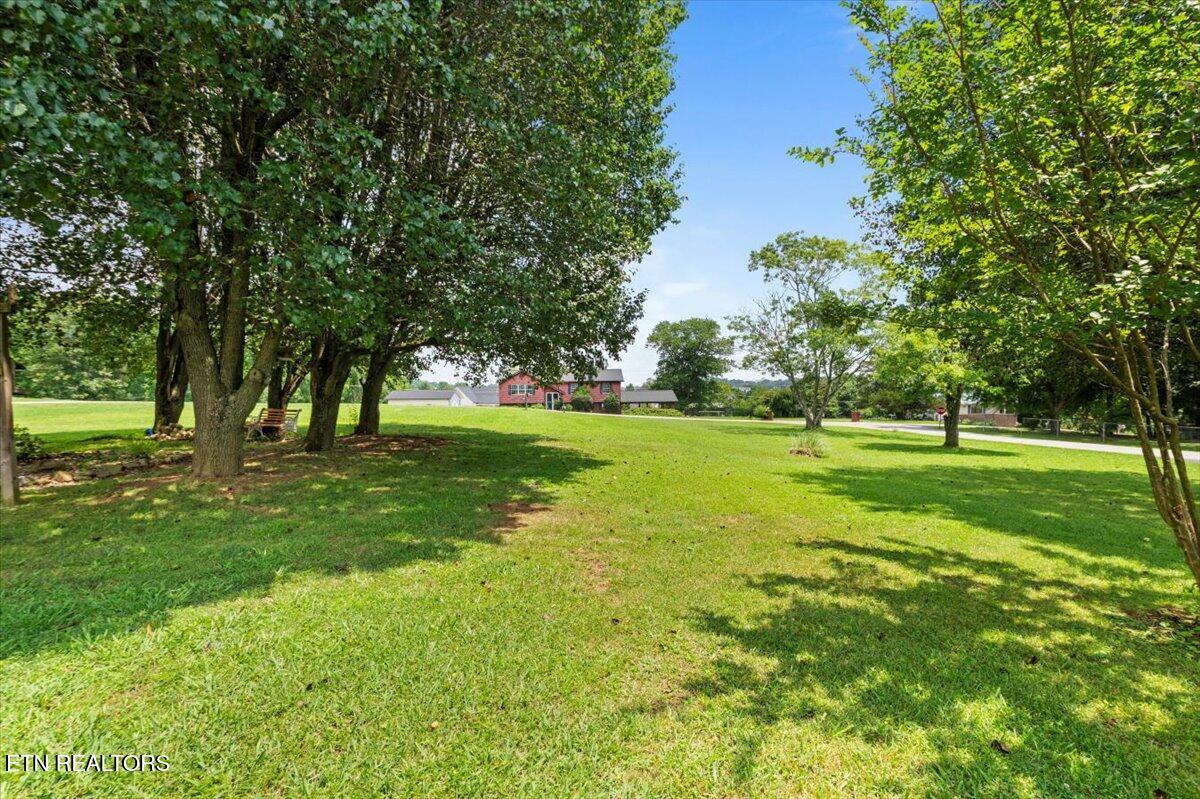 116 Oak Street Jacksboro TN 37757