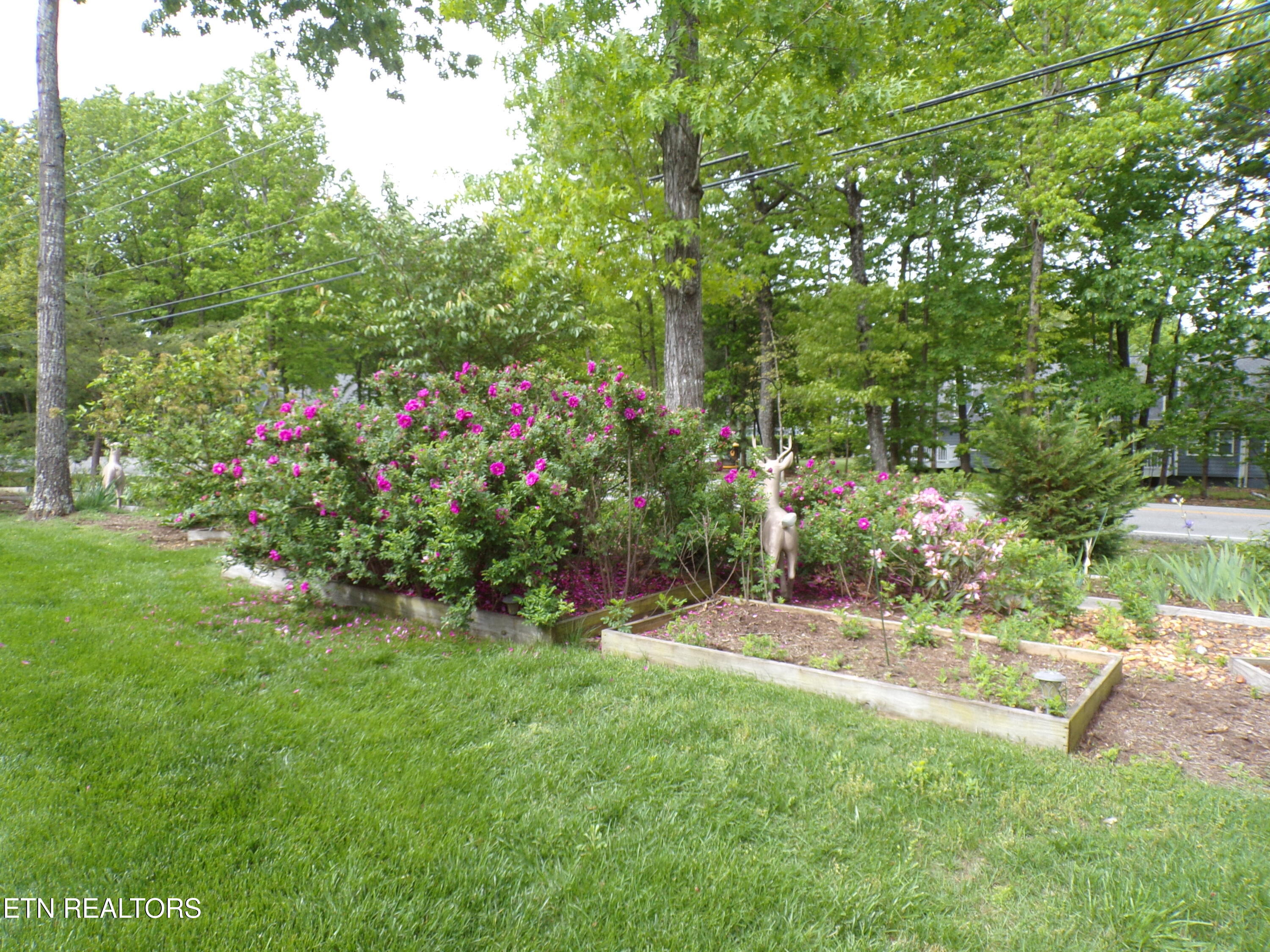 116 Huntington Drive Fairfield Glade TN 38558